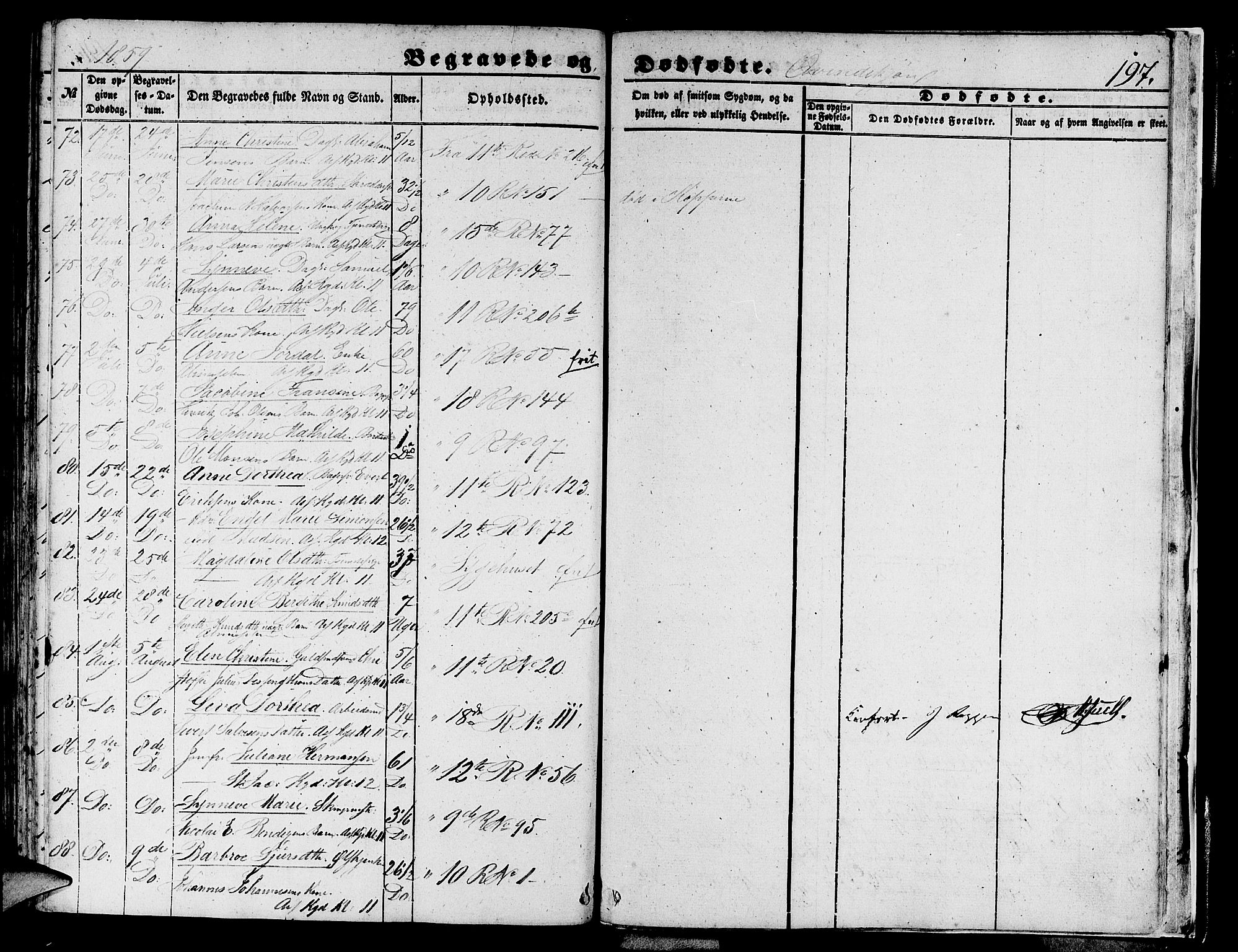 Domkirken sokneprestembete, AV/SAB-A-74801/H/Hab/L0038: Parish register (copy) no. E 2, 1847-1859, p. 197