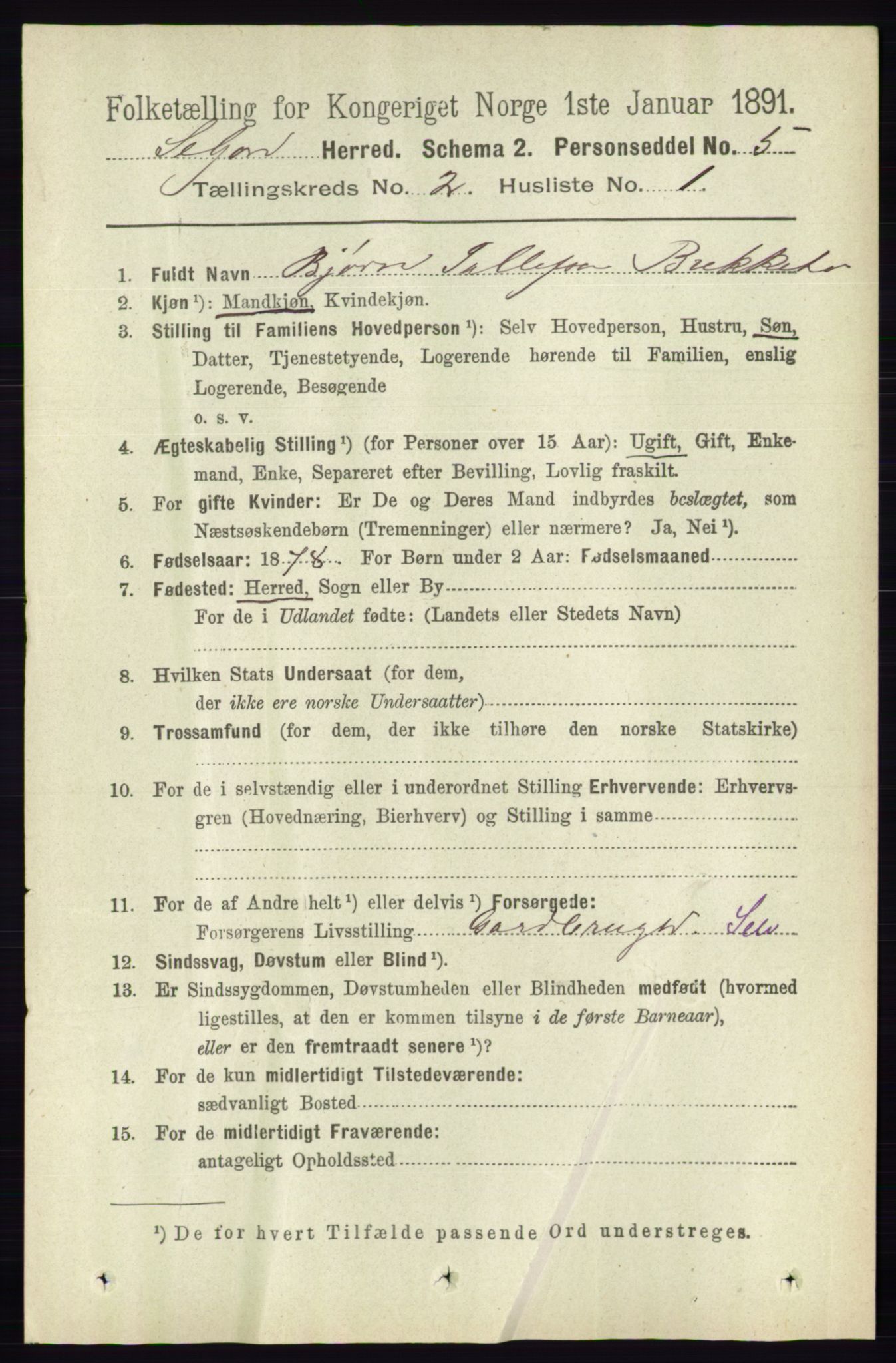 RA, 1891 census for 0828 Seljord, 1891, p. 575