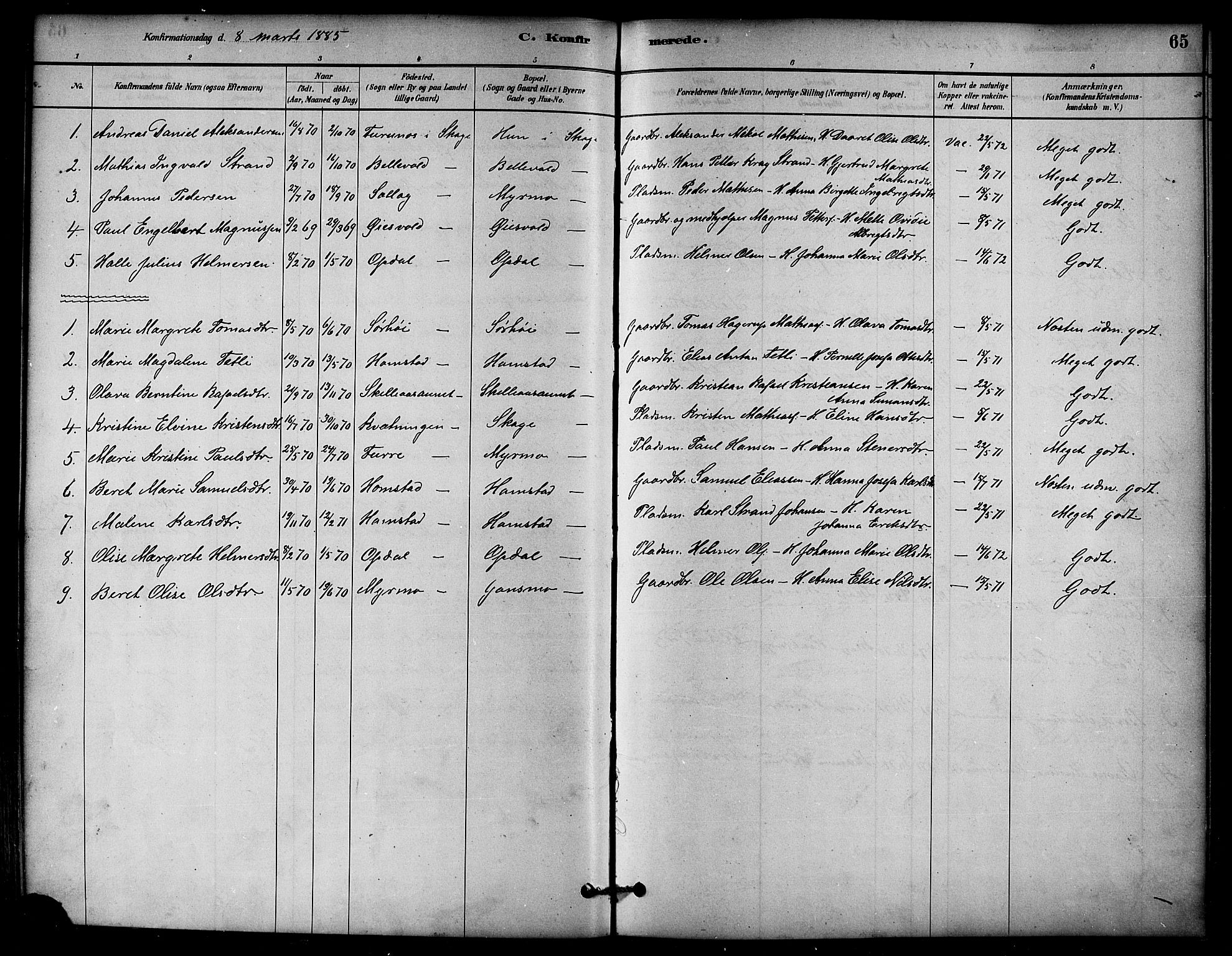 Ministerialprotokoller, klokkerbøker og fødselsregistre - Nord-Trøndelag, SAT/A-1458/766/L0563: Parish register (official) no. 767A01, 1881-1899, p. 65