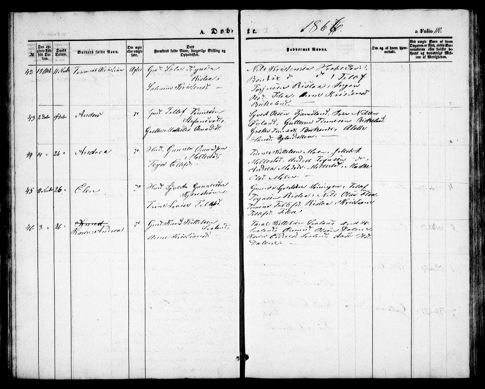 Birkenes sokneprestkontor, AV/SAK-1111-0004/F/Fb/L0002: Parish register (copy) no. B 2, 1849-1876, p. 110