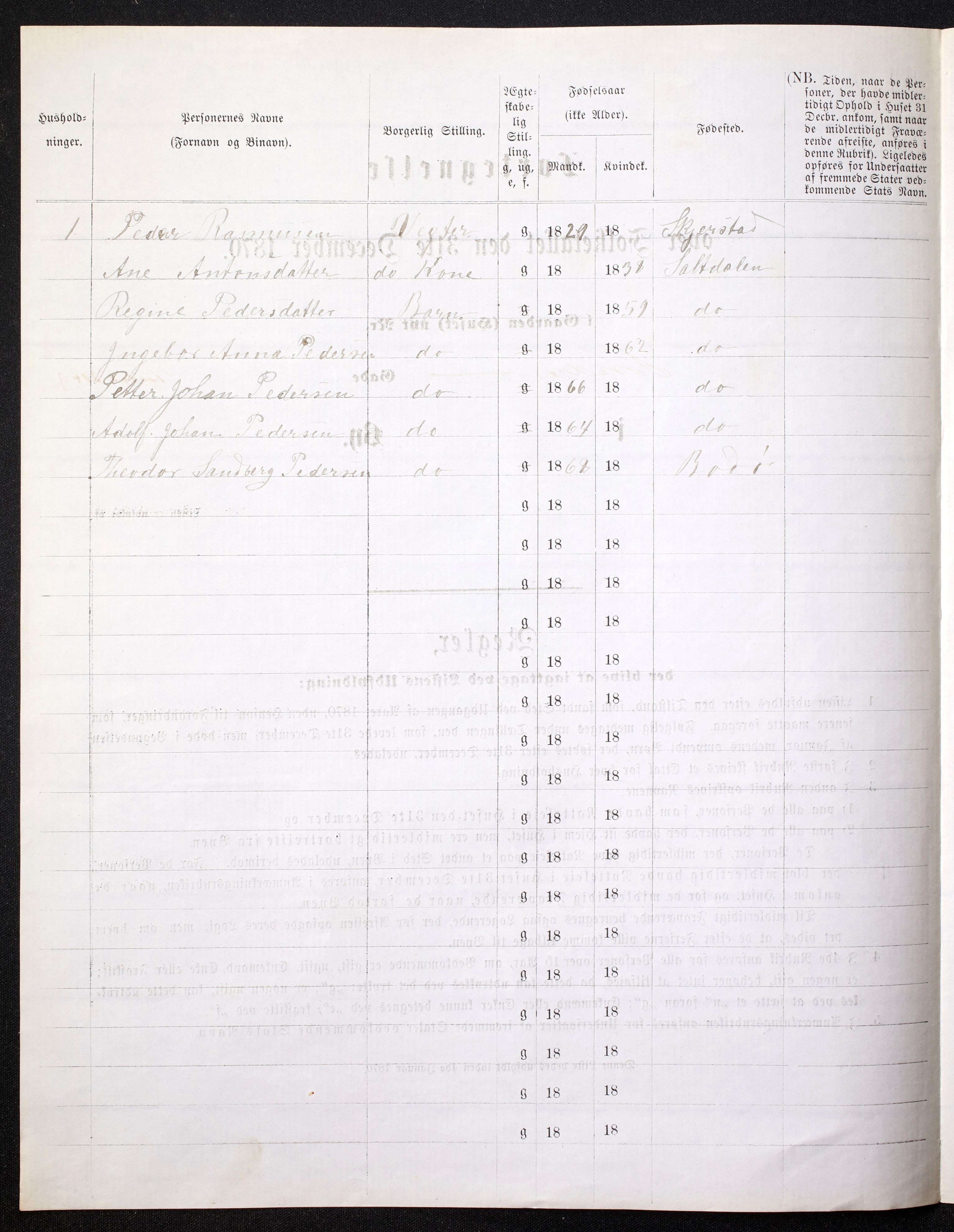 RA, 1870 census for 1804 Bodø, 1870, p. 40