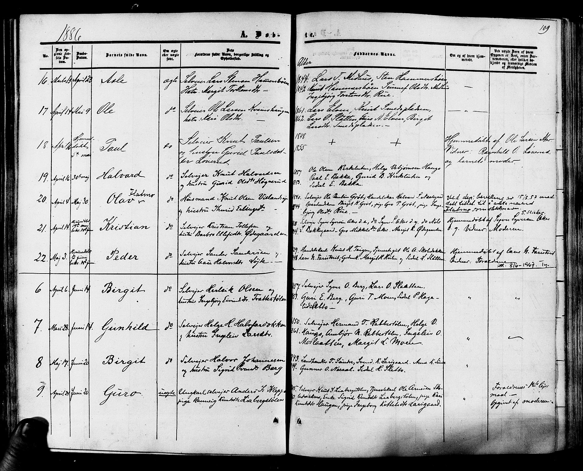 Hol kirkebøker, AV/SAKO-A-227/F/Fa/L0002: Parish register (official) no. I 2, 1870-1886, p. 109