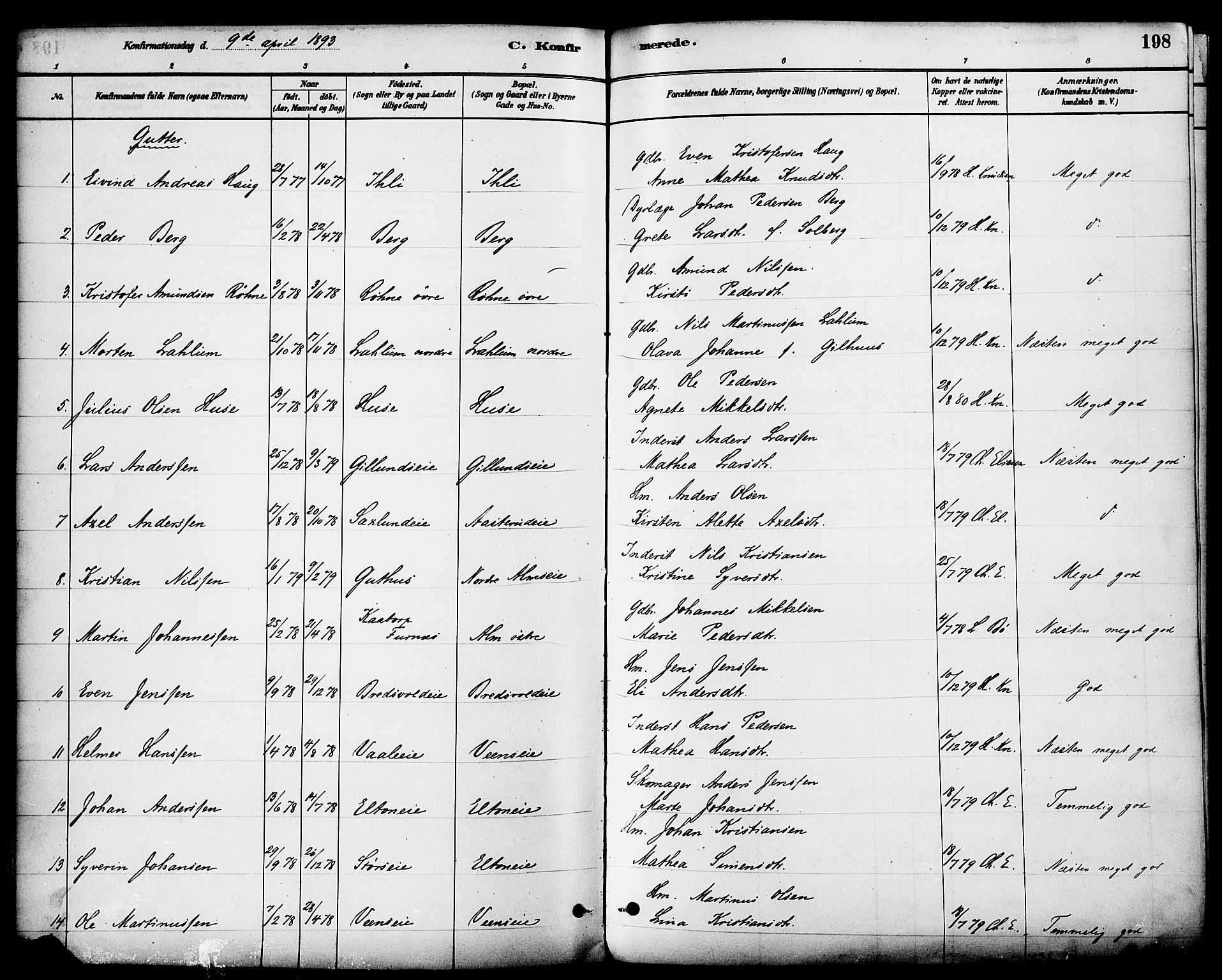 Stange prestekontor, SAH/PREST-002/K/L0017: Parish register (official) no. 17, 1880-1893, p. 198