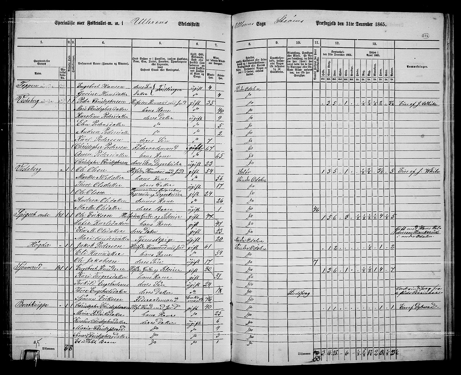 RA, 1865 census for Sør-Odal, 1865, p. 250