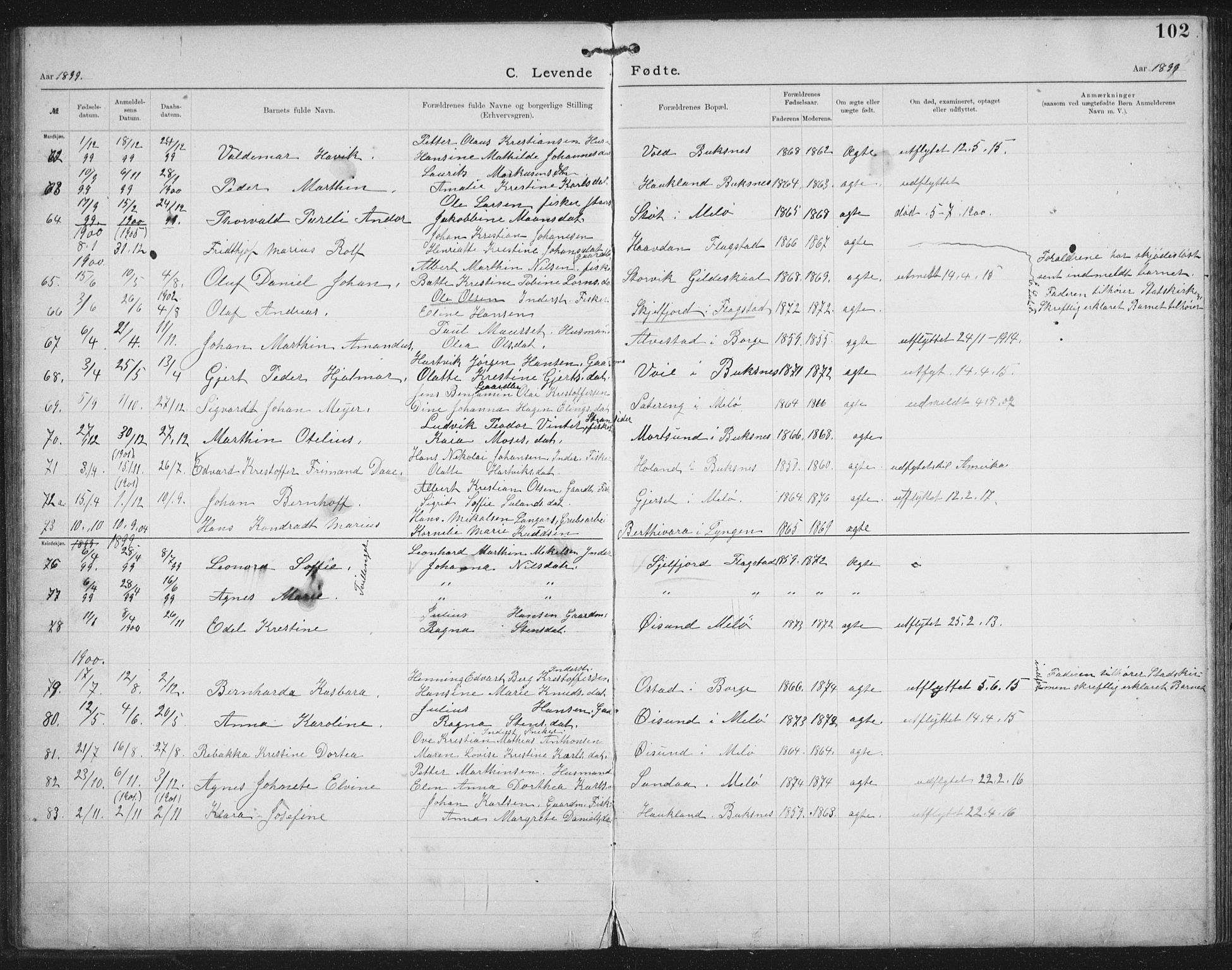 Ministerialprotokoller, klokkerbøker og fødselsregistre - Nordland, AV/SAT-A-1459/881/L1174: Dissenter register no. 881D01, 1891-1933, p. 102