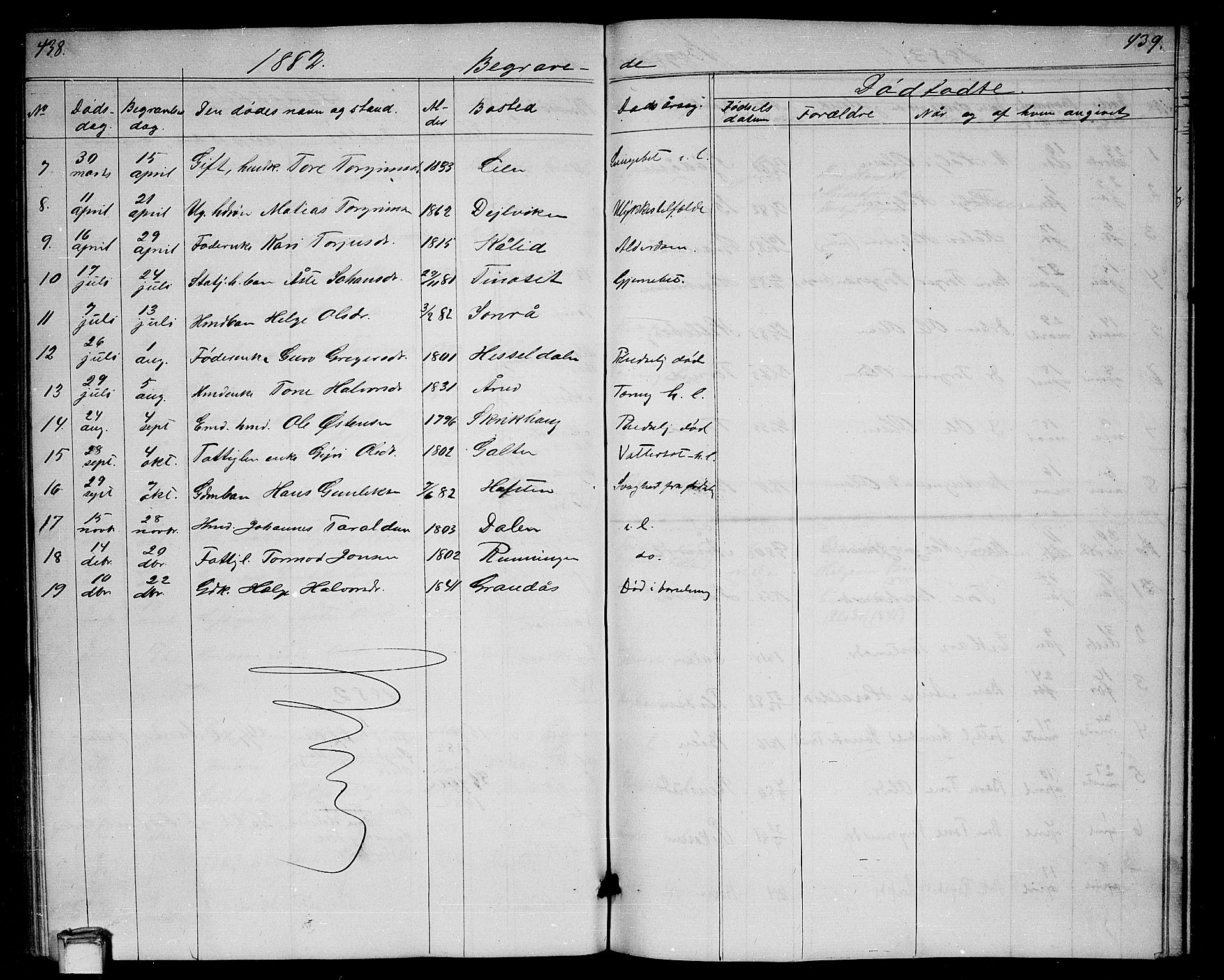 Gransherad kirkebøker, SAKO/A-267/G/Ga/L0002: Parish register (copy) no. I 2, 1854-1886, p. 438-439