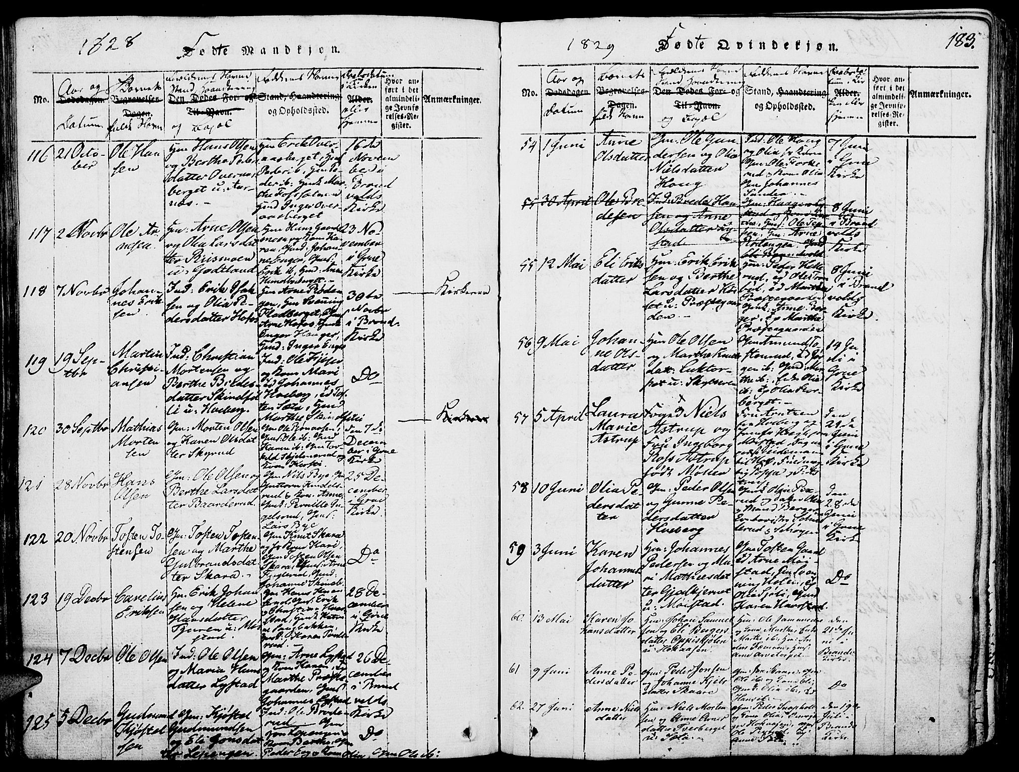 Grue prestekontor, AV/SAH-PREST-036/H/Ha/Haa/L0006: Parish register (official) no. 6, 1814-1830, p. 183