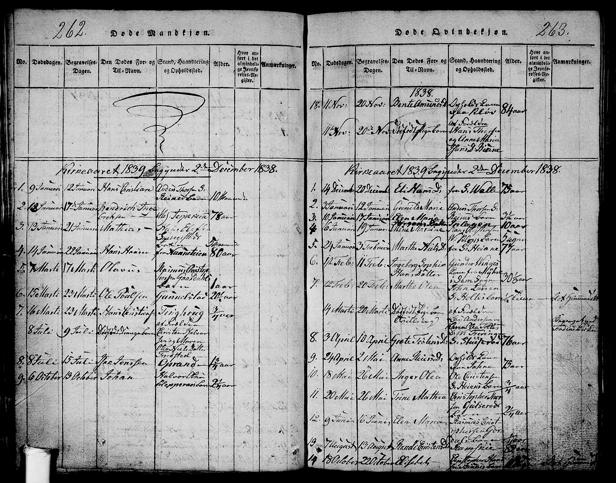 Ramnes kirkebøker, AV/SAKO-A-314/G/Ga/L0001: Parish register (copy) no. I 1, 1813-1847, p. 262-263