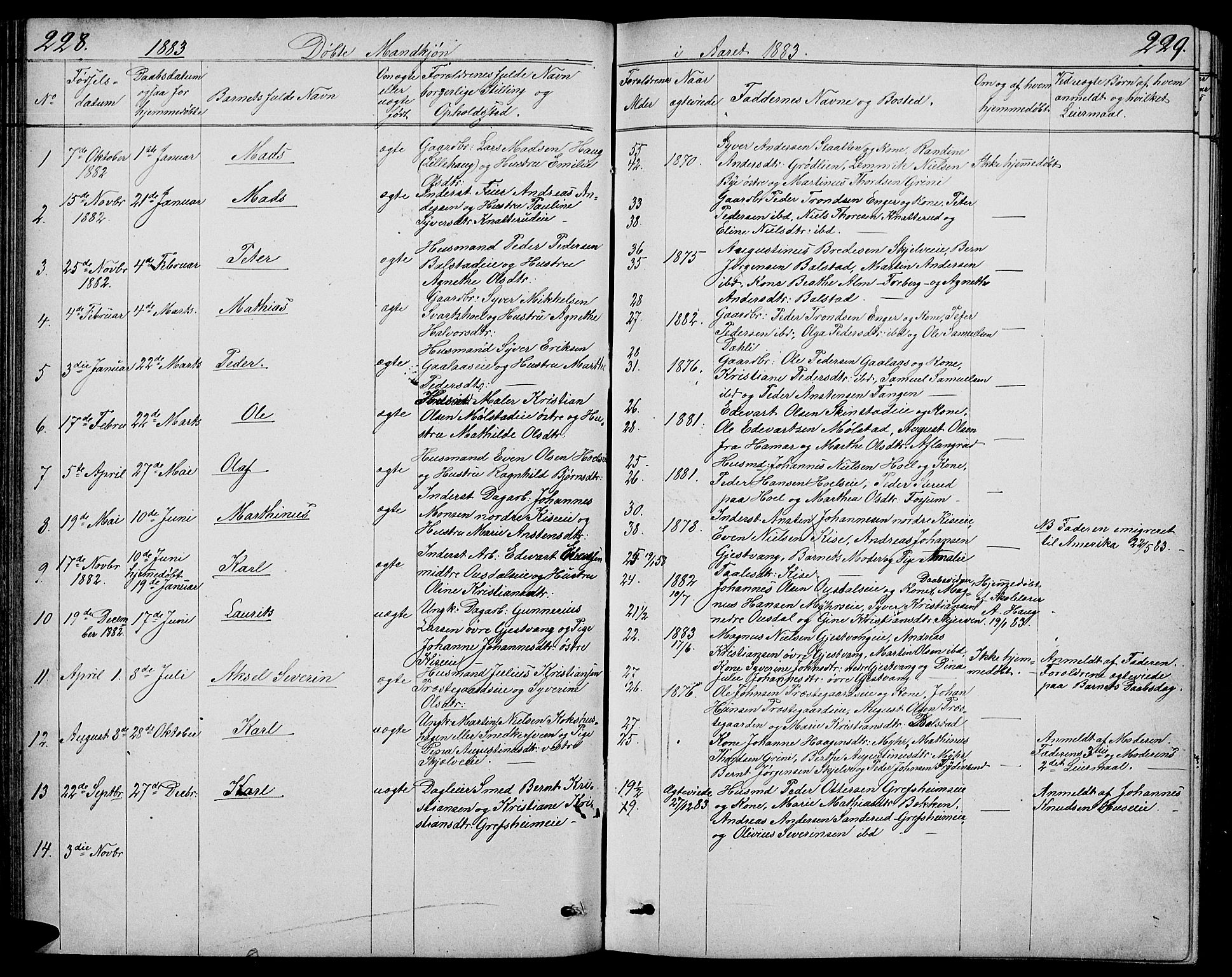 Nes prestekontor, Hedmark, AV/SAH-PREST-020/L/La/L0005: Parish register (copy) no. 5, 1852-1889, p. 228-229