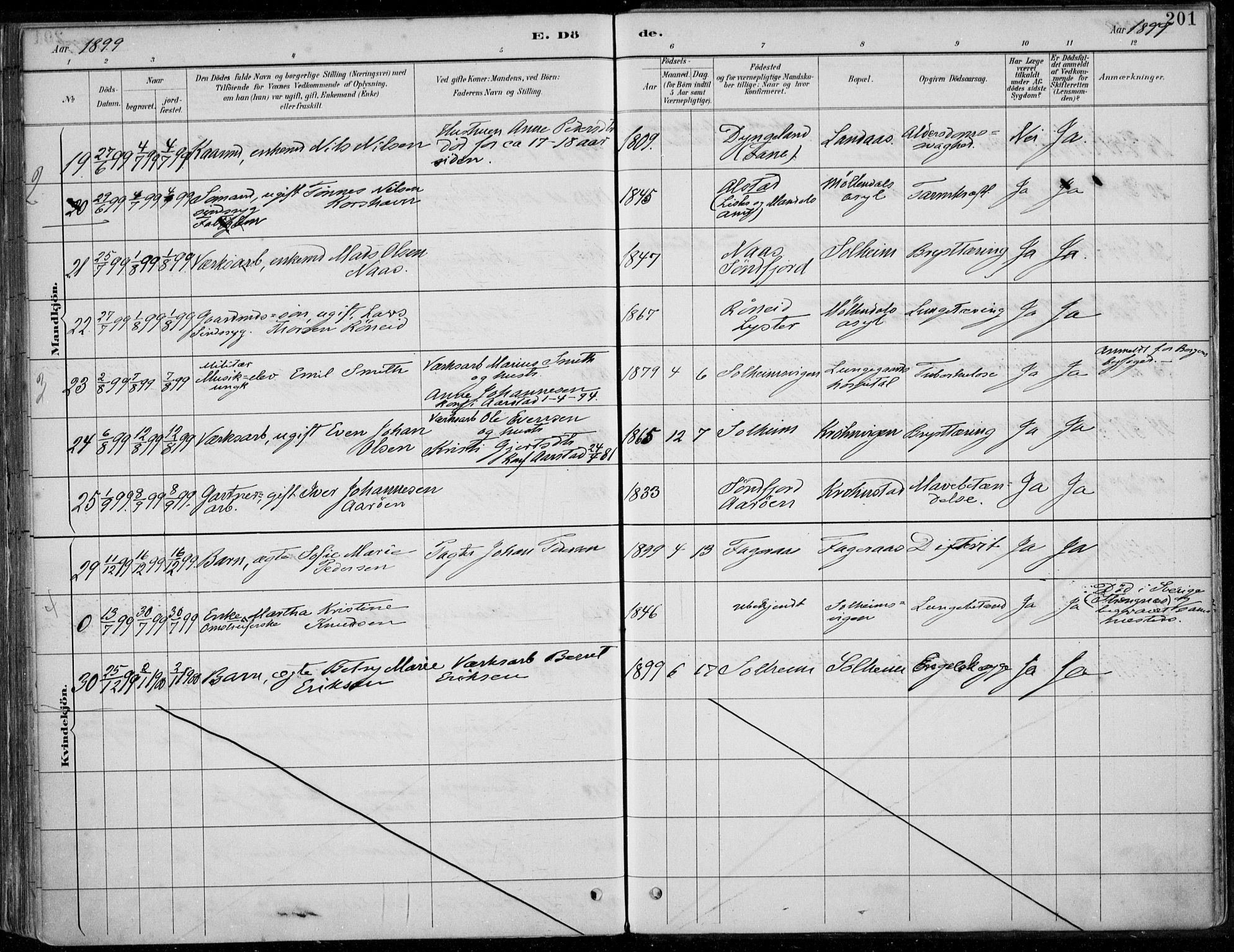 Årstad Sokneprestembete, SAB/A-79301/H/Haa/L0006: Parish register (official) no. B 1, 1886-1901, p. 201