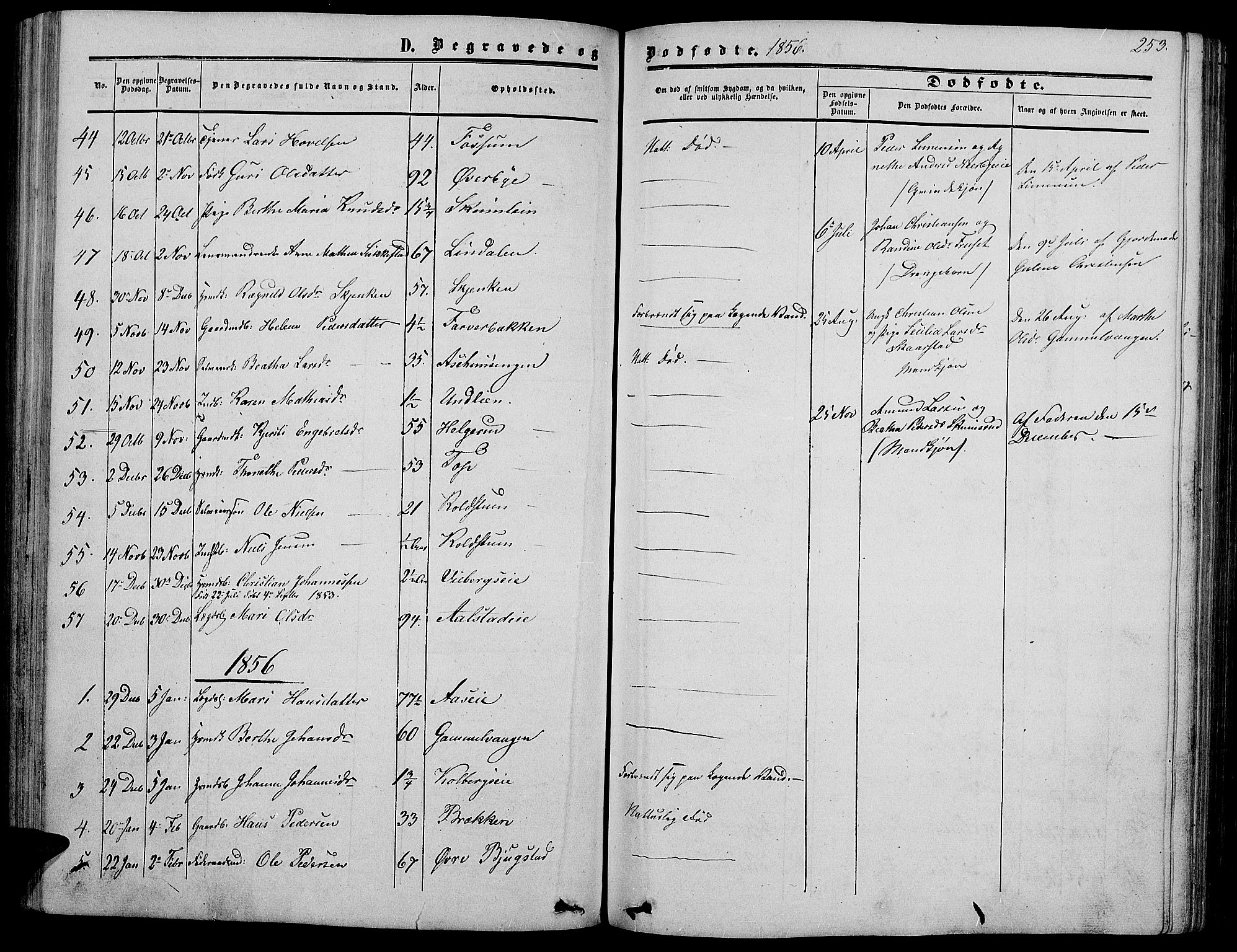 Vardal prestekontor, SAH/PREST-100/H/Ha/Hab/L0005: Parish register (copy) no. 5, 1854-1868, p. 253