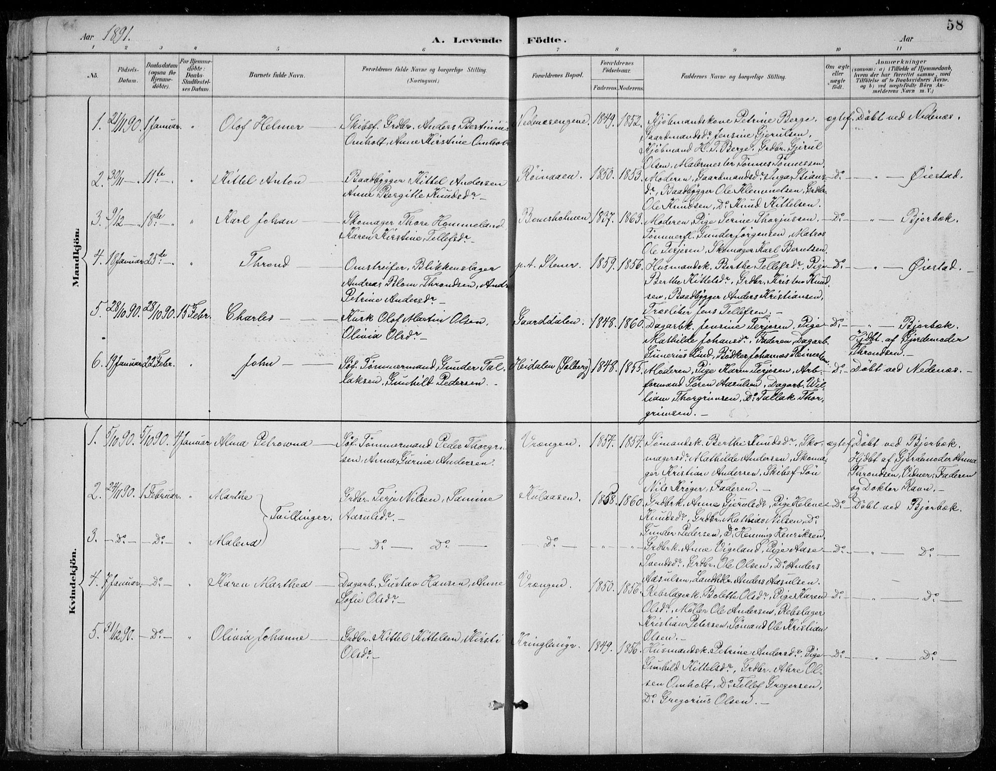 Øyestad sokneprestkontor, SAK/1111-0049/F/Fa/L0017: Parish register (official) no. A 17, 1887-1896, p. 58