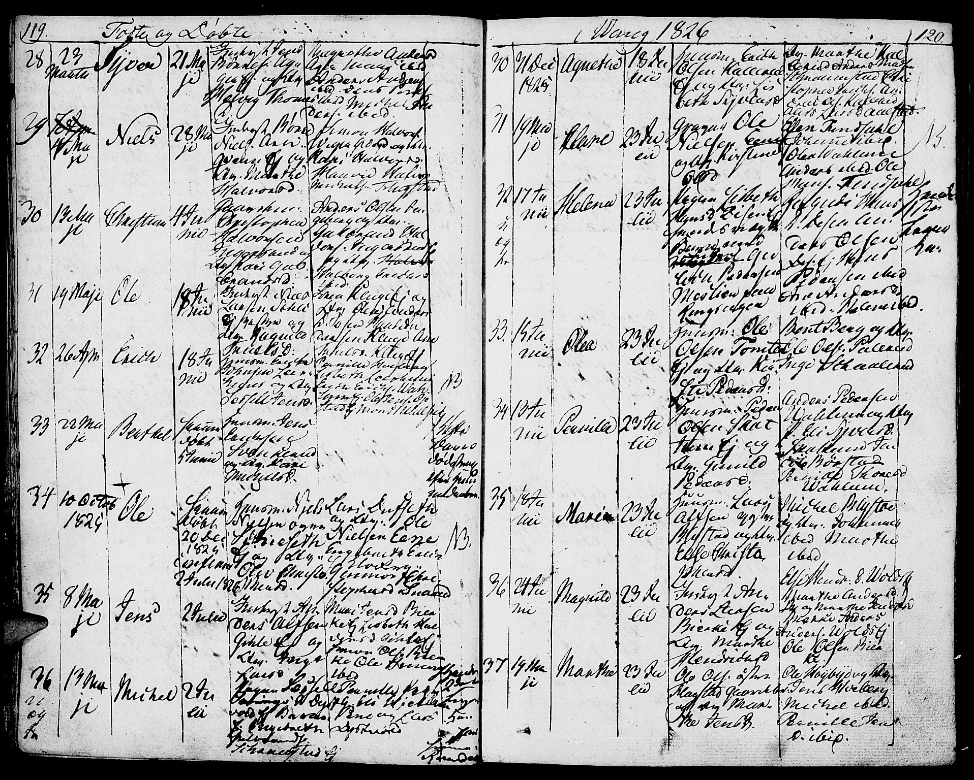 Vang prestekontor, Hedmark, AV/SAH-PREST-008/H/Ha/Haa/L0006: Parish register (official) no. 6 /1, 1809-1827, p. 119-120