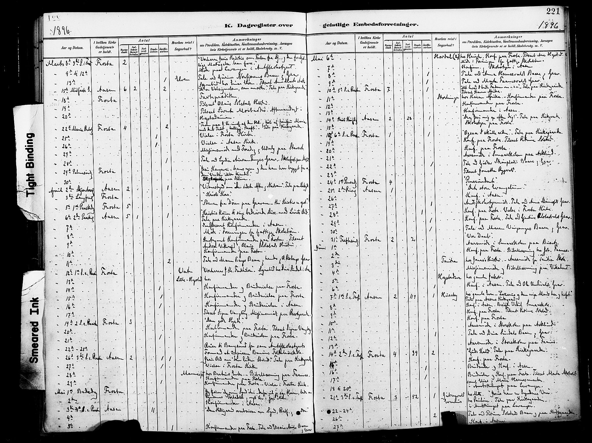 Ministerialprotokoller, klokkerbøker og fødselsregistre - Nord-Trøndelag, AV/SAT-A-1458/713/L0121: Parish register (official) no. 713A10, 1888-1898, p. 221