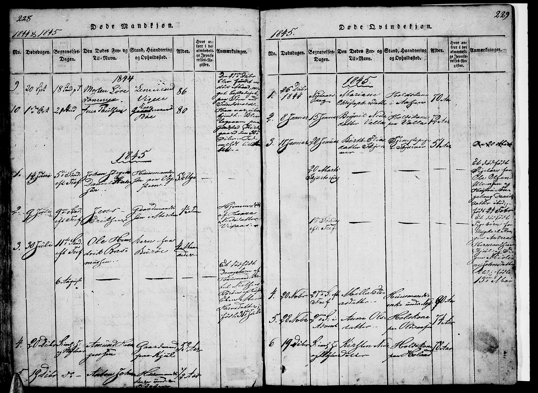 Ministerialprotokoller, klokkerbøker og fødselsregistre - Nordland, AV/SAT-A-1459/816/L0239: Parish register (official) no. 816A05, 1820-1845, p. 228-229