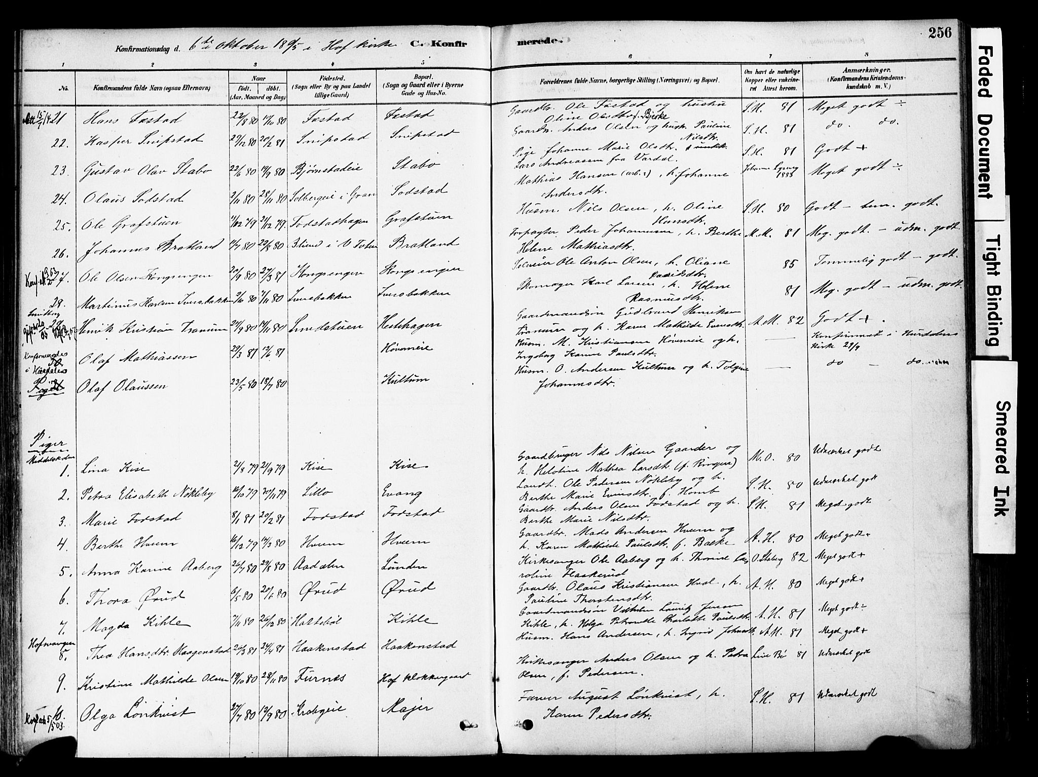 Østre Toten prestekontor, AV/SAH-PREST-104/H/Ha/Haa/L0006: Parish register (official) no. 6 /1, 1878-1896, p. 256