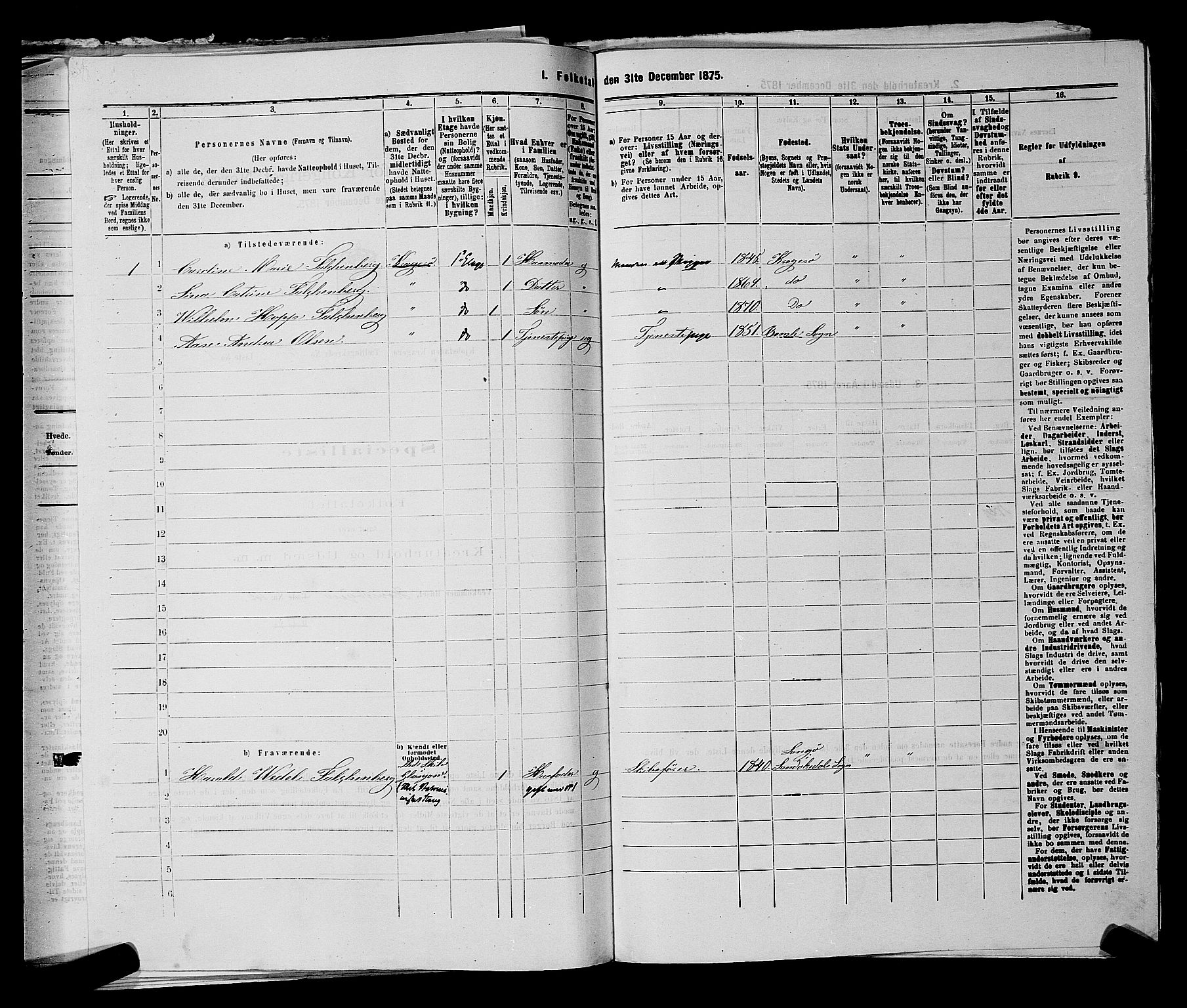 SAKO, 1875 census for 0801P Kragerø, 1875, p. 316