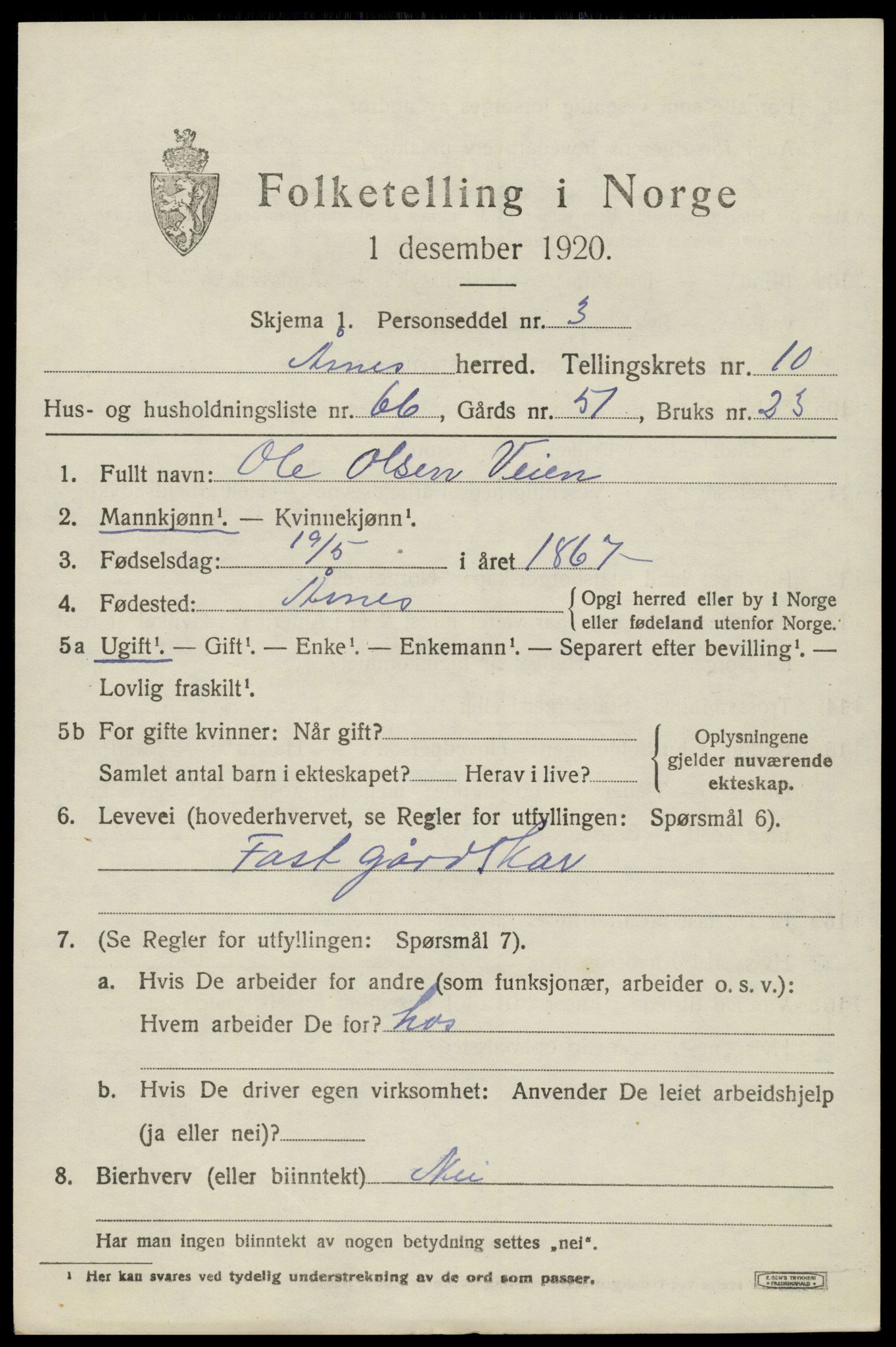 SAH, 1920 census for Åsnes, 1920, p. 11110