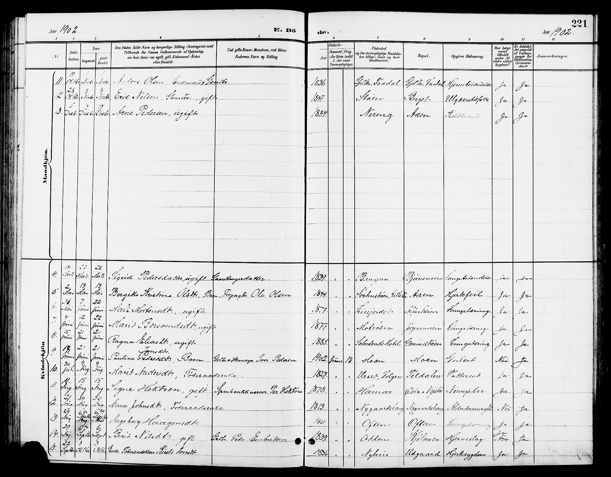 Tynset prestekontor, AV/SAH-PREST-058/H/Ha/Hab/L0009: Parish register (copy) no. 9, 1900-1914, p. 221