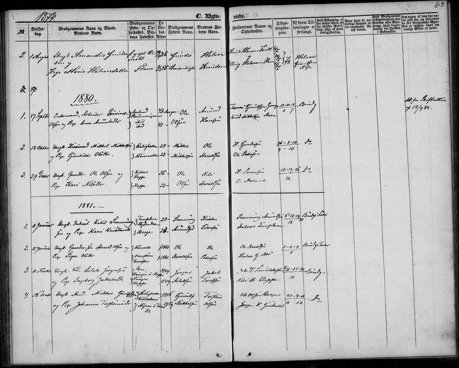 Lunde kirkebøker, SAKO/A-282/F/Fb/L0002: Parish register (official) no. II 2, 1861-1881, p. 63