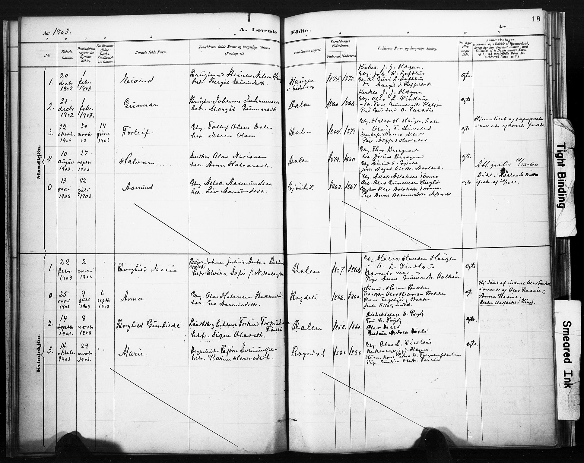Lårdal kirkebøker, SAKO/A-284/F/Fb/L0002: Parish register (official) no. II 2, 1887-1918, p. 18