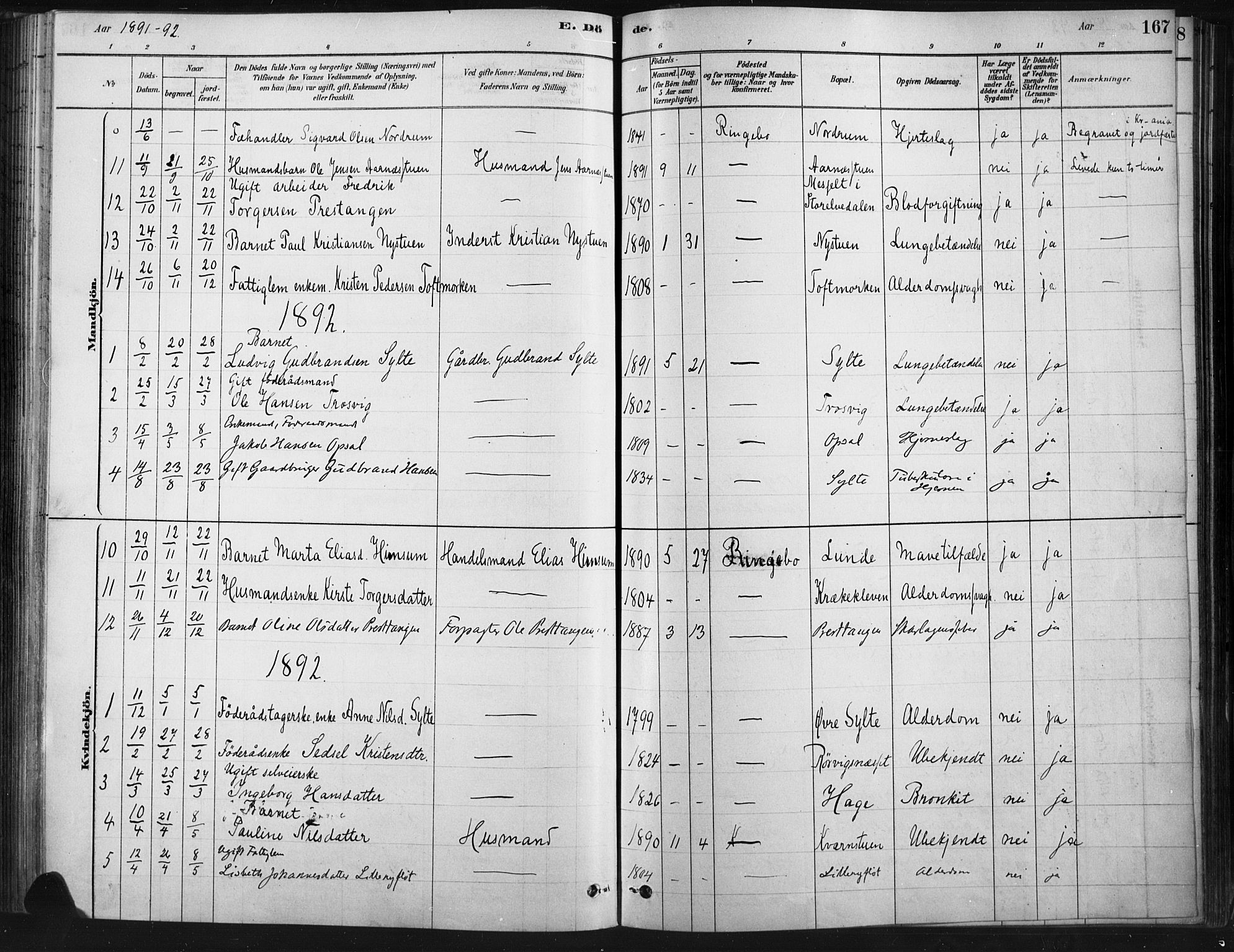 Ringebu prestekontor, AV/SAH-PREST-082/H/Ha/Haa/L0009: Parish register (official) no. 9, 1878-1898, p. 167