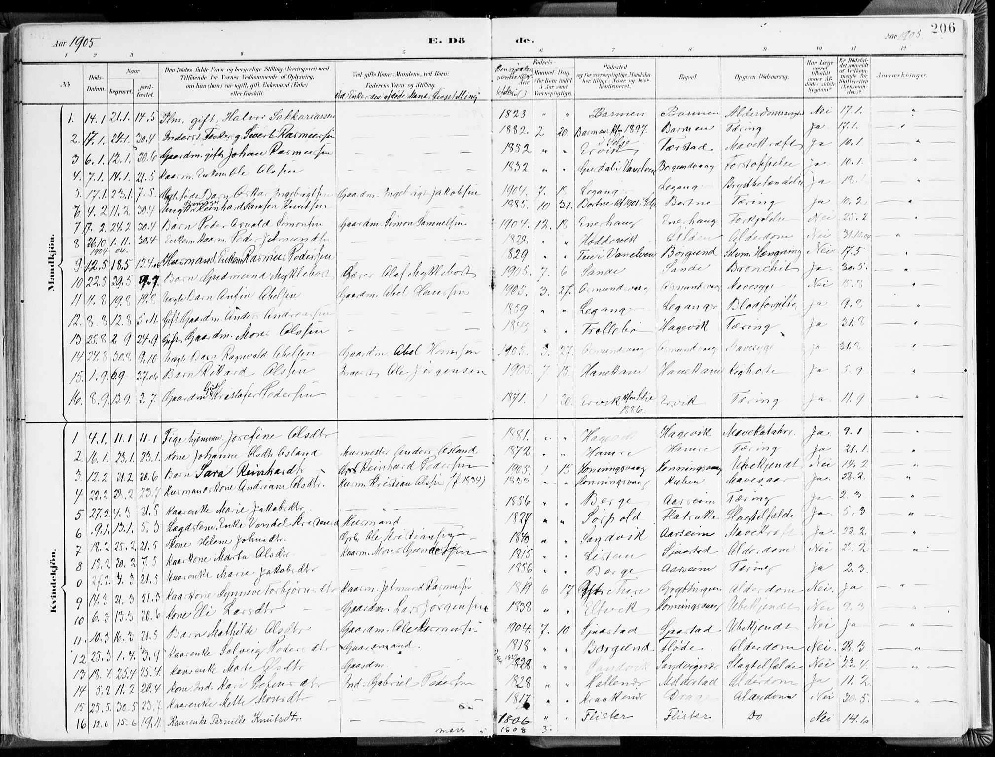 Selje sokneprestembete, SAB/A-99938/H/Ha/Haa/Haab: Parish register (official) no. B 2, 1891-1907, p. 206