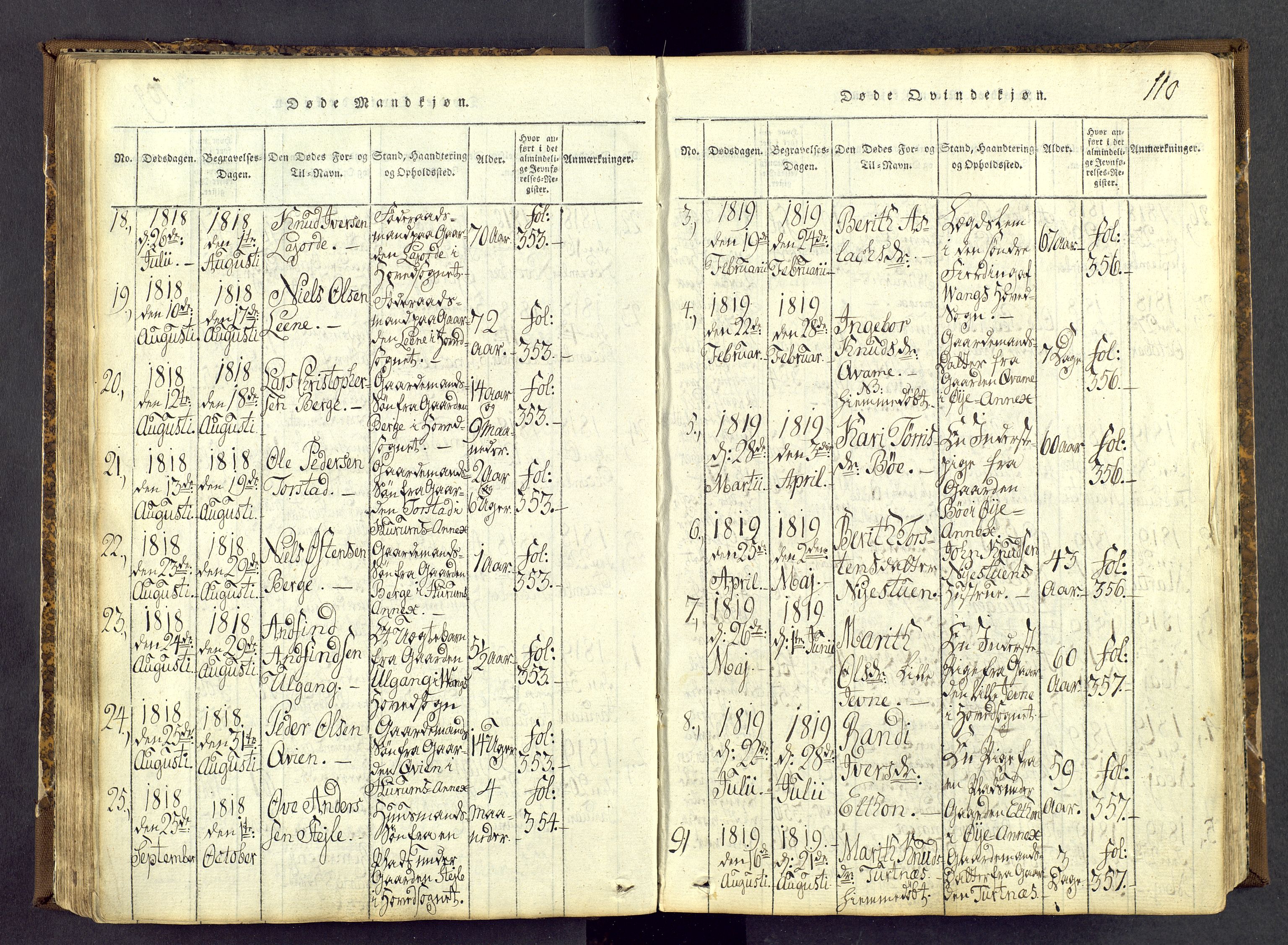 Vang prestekontor, Valdres, AV/SAH-PREST-140/H/Ha/L0004: Parish register (official) no. 4, 1814-1831, p. 110
