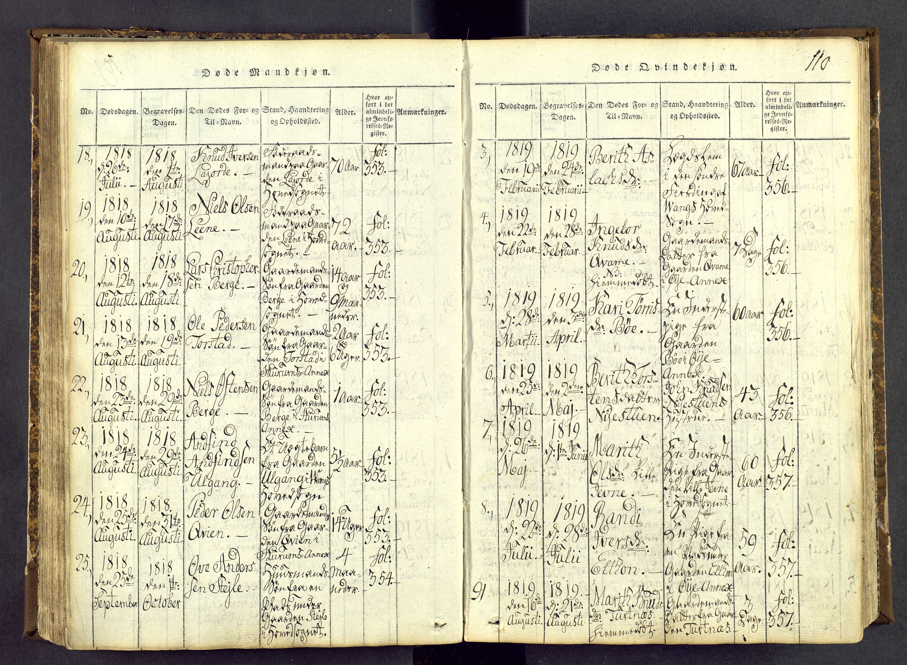 Vang prestekontor, Valdres, SAH/PREST-140/H/Ha/L0004: Parish register (official) no. 4, 1814-1831, p. 110