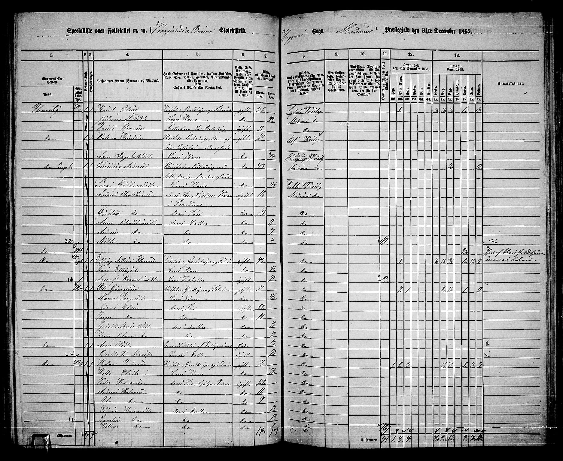 RA, 1865 census for Modum, 1865, p. 135