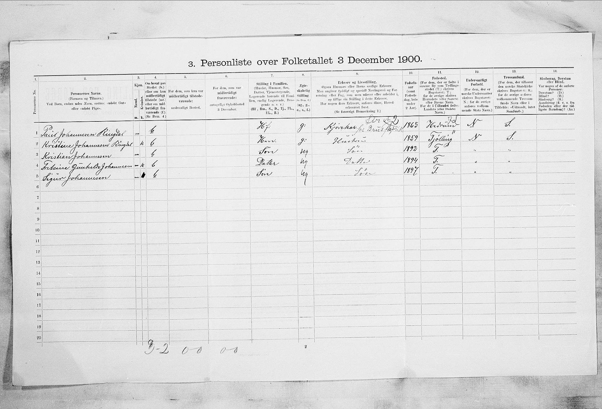 RA, 1900 census for Larvik, 1900, p. 2494