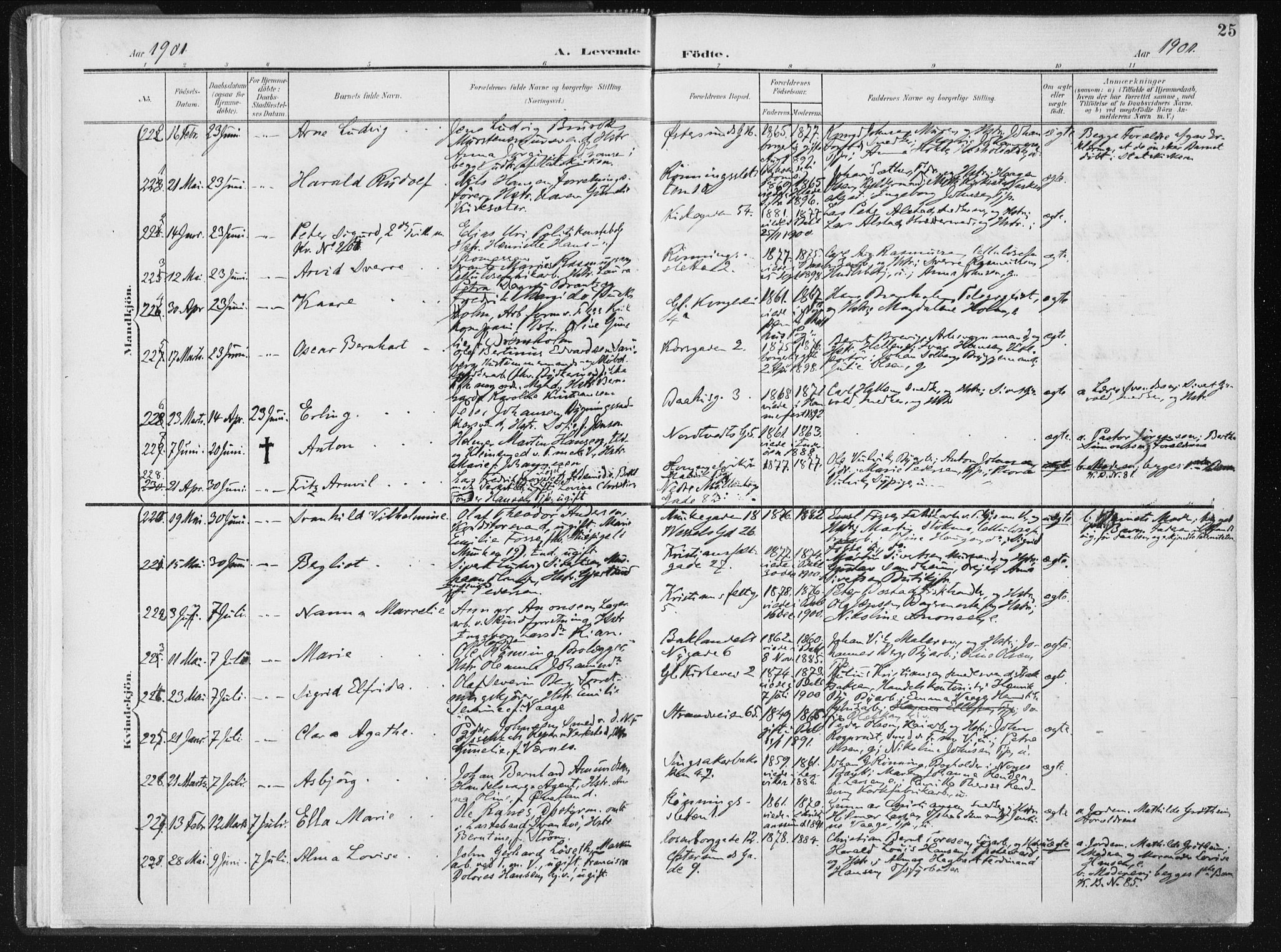 Ministerialprotokoller, klokkerbøker og fødselsregistre - Sør-Trøndelag, SAT/A-1456/604/L0199: Parish register (official) no. 604A20I, 1901-1906, p. 25