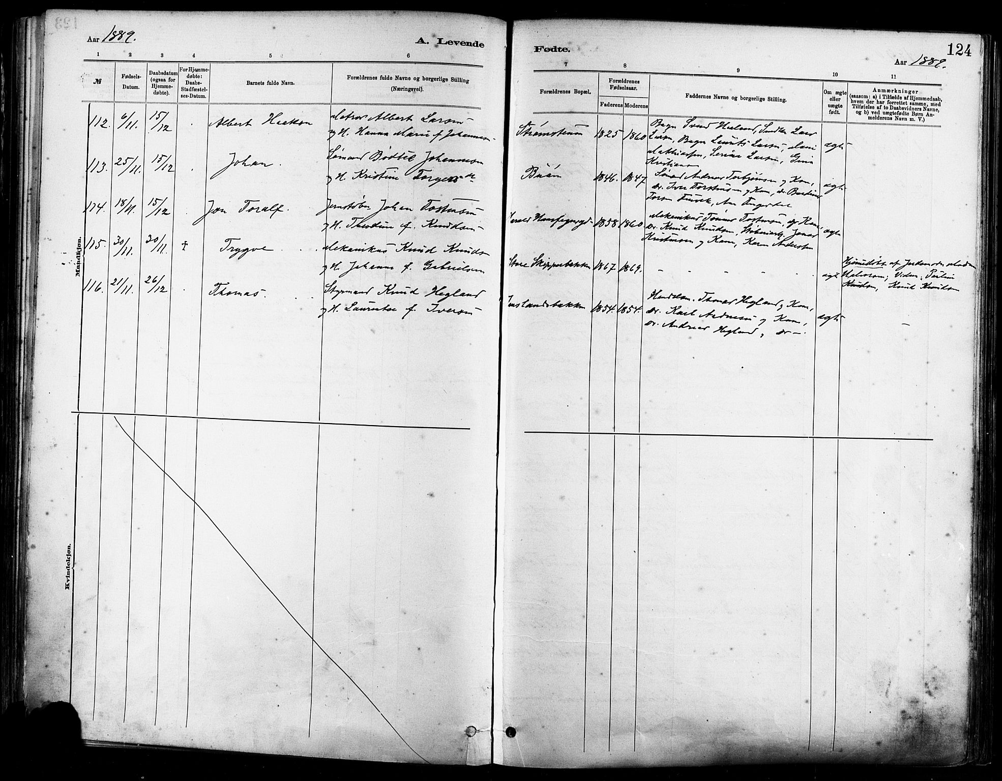 St. Johannes sokneprestkontor, AV/SAST-A-101814/001/30/30BA/L0001: Parish register (official) no. A 1, 1885-1891, p. 124