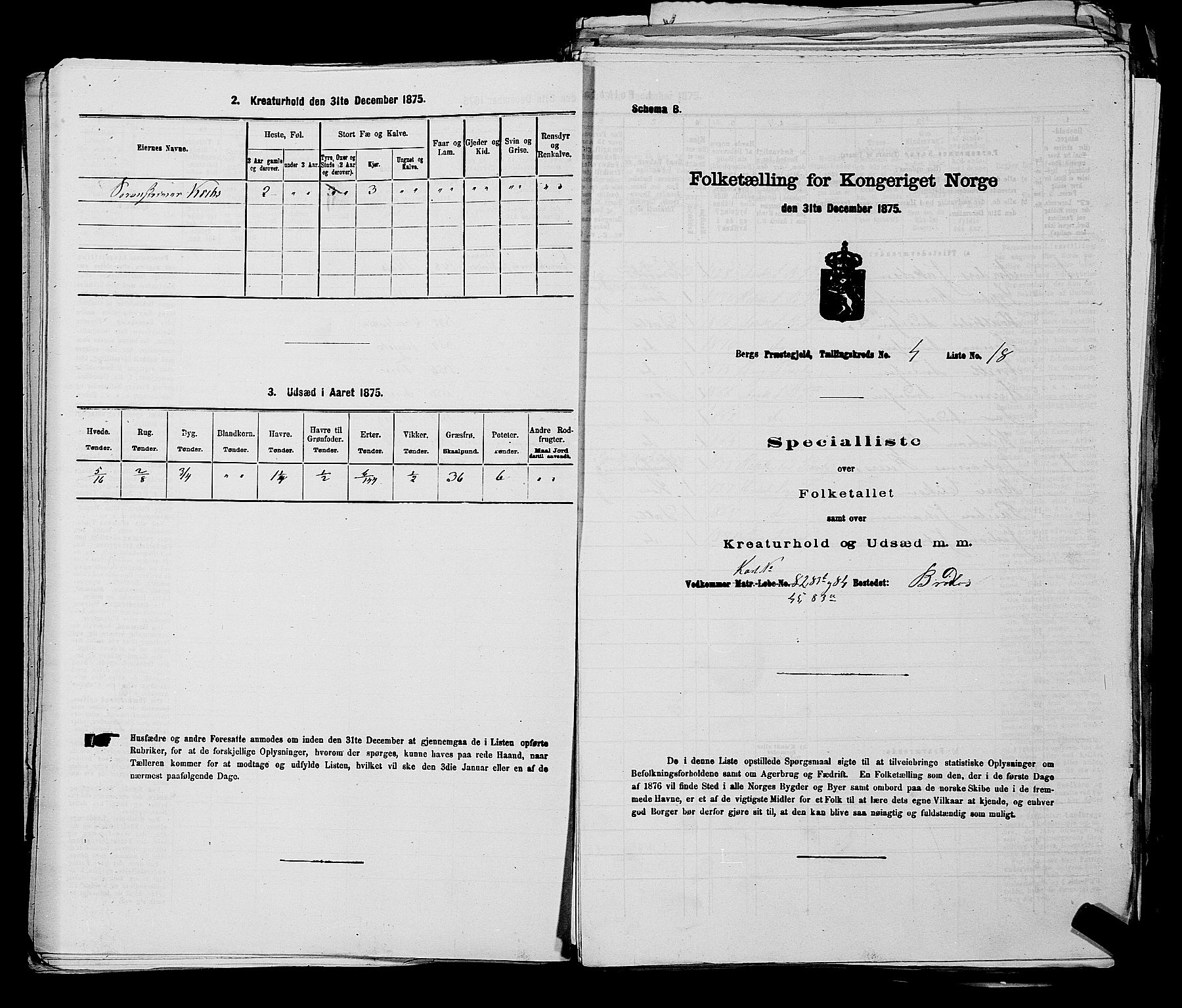 RA, 1875 census for 0116P Berg, 1875, p. 473