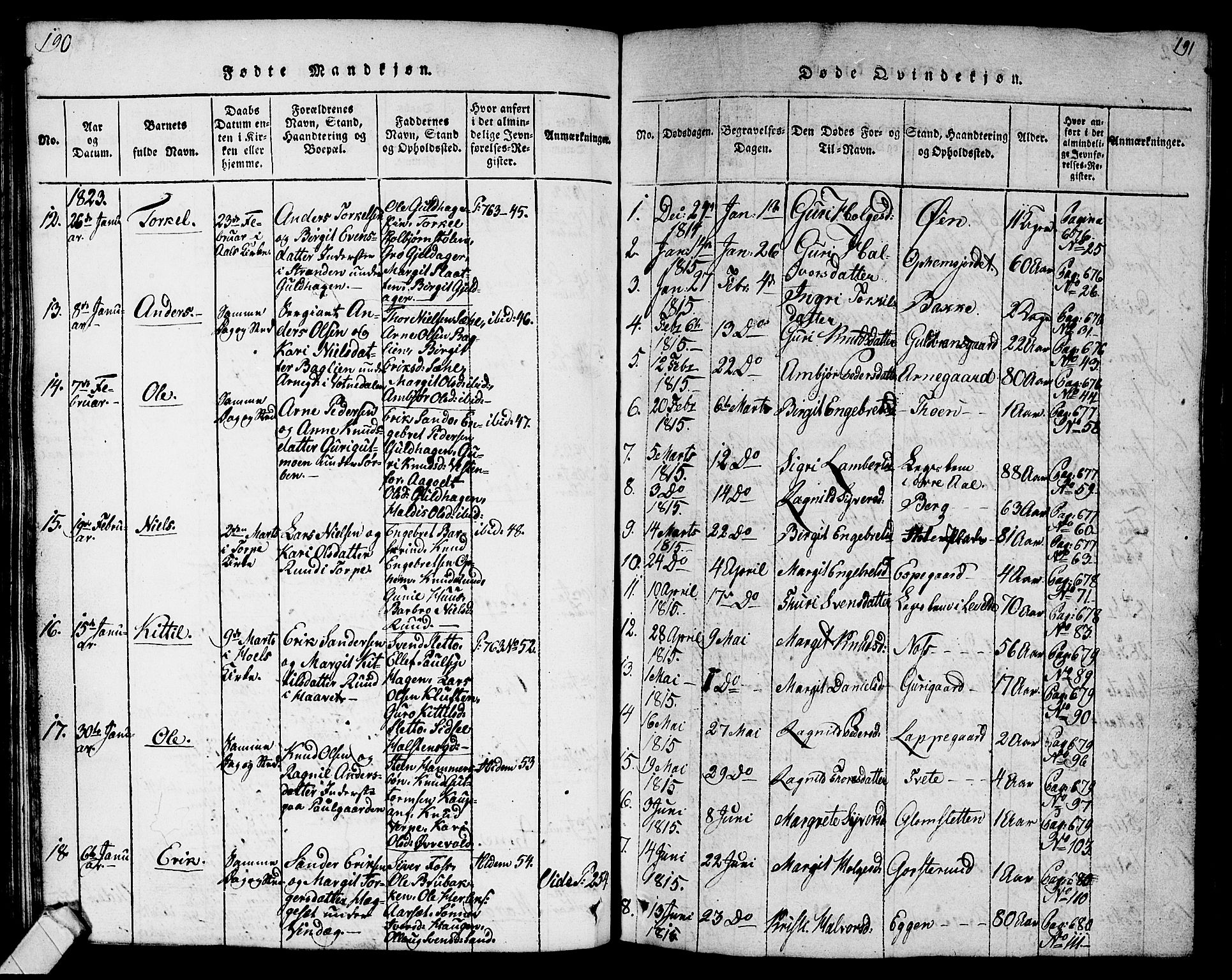 Ål kirkebøker, SAKO/A-249/G/Ga/L0001: Parish register (copy) no. 1, 1815-1829, p. 190-191