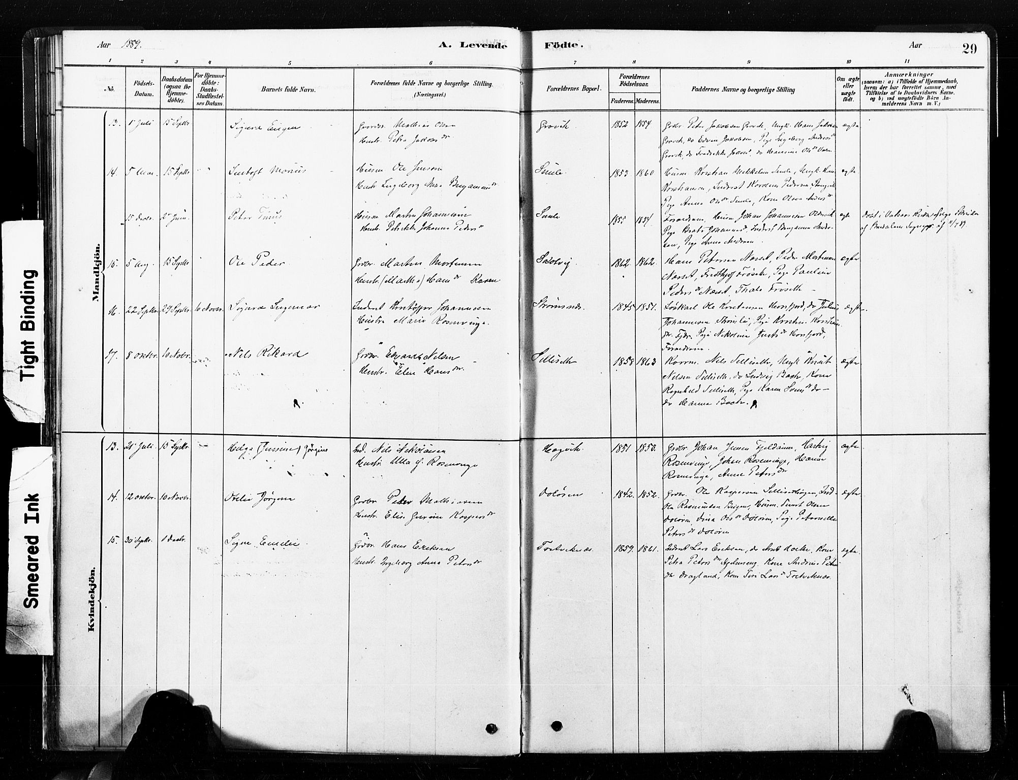 Ministerialprotokoller, klokkerbøker og fødselsregistre - Nord-Trøndelag, SAT/A-1458/789/L0705: Parish register (official) no. 789A01, 1878-1910, p. 29