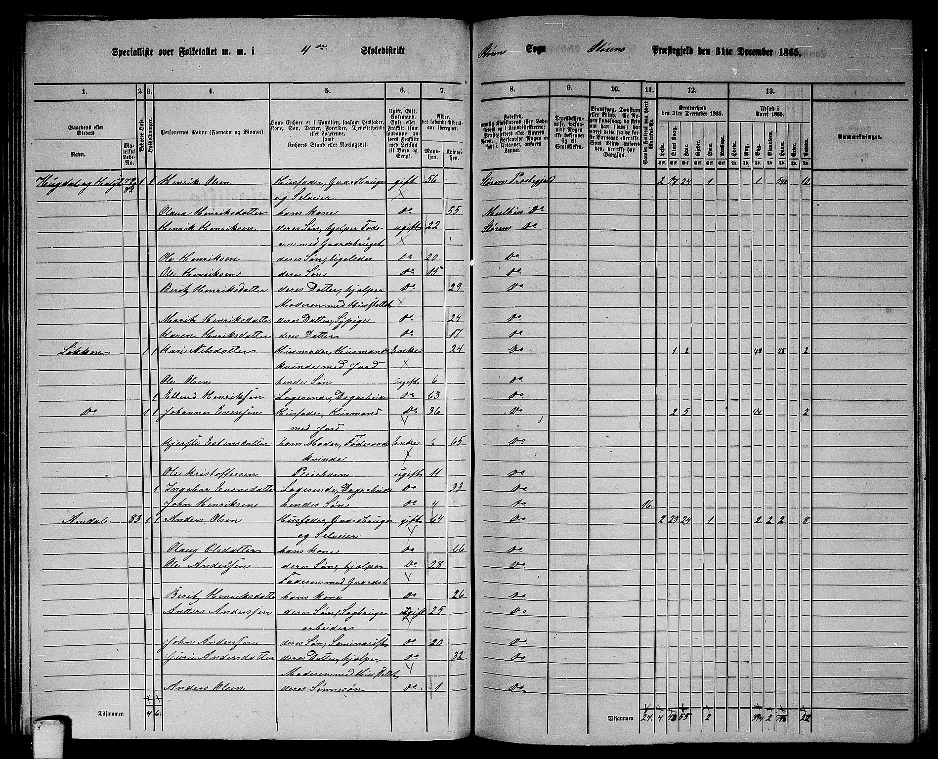 RA, 1865 census for Støren, 1865, p. 81