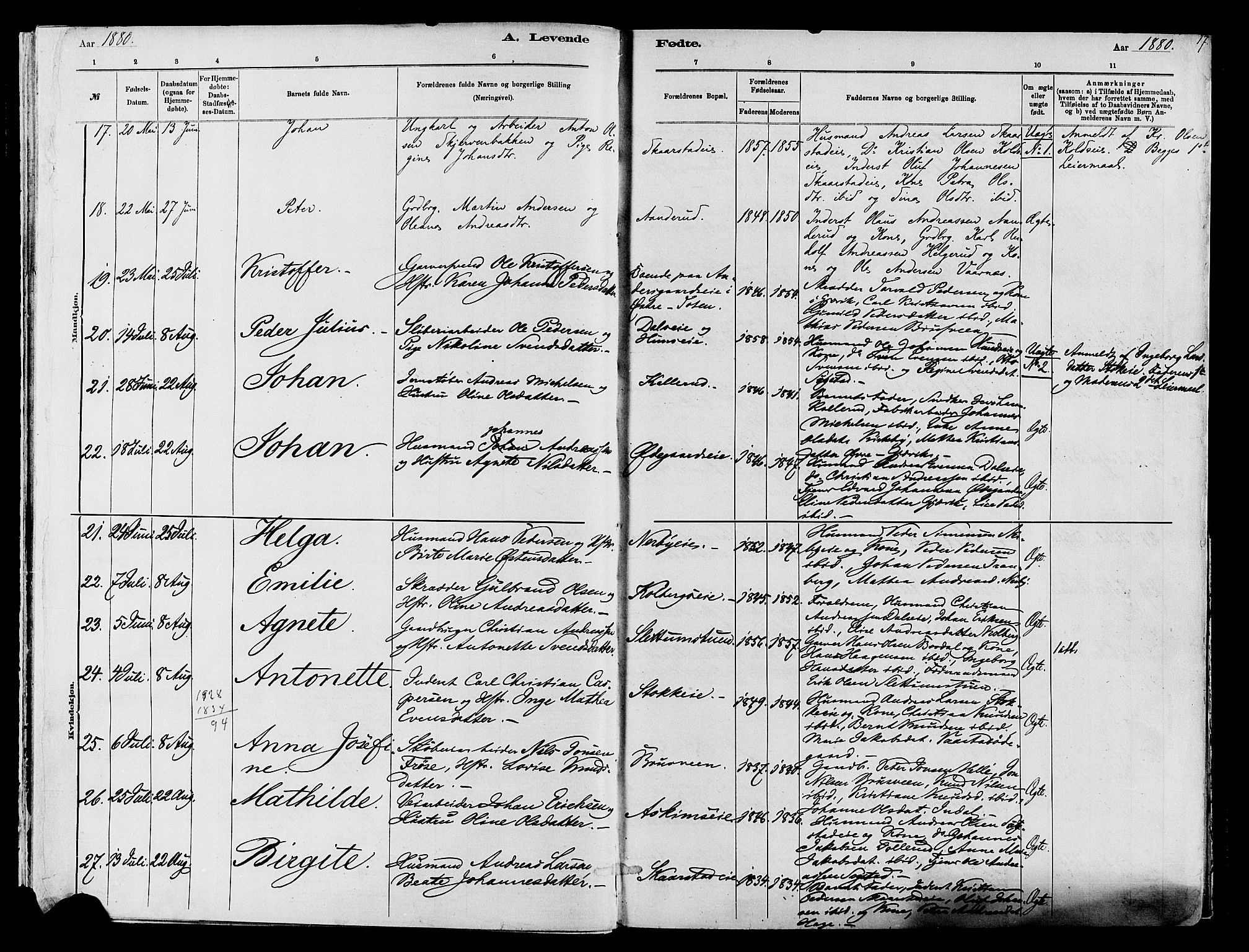 Vardal prestekontor, SAH/PREST-100/H/Ha/Haa/L0009: Parish register (official) no. 9, 1878-1892, p. 17