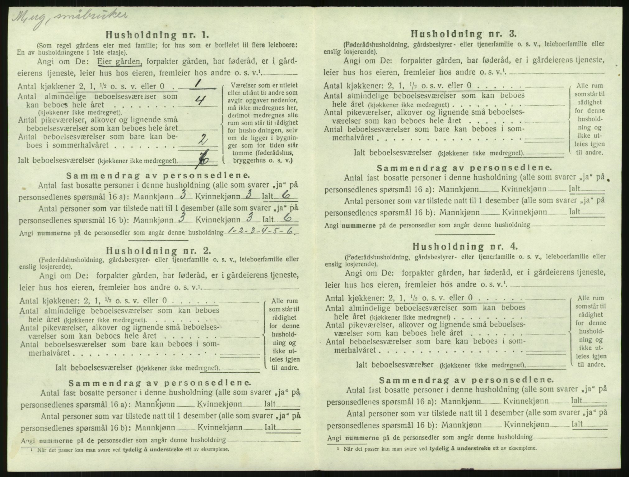 SAK, 1920 census for Holt, 1920, p. 491