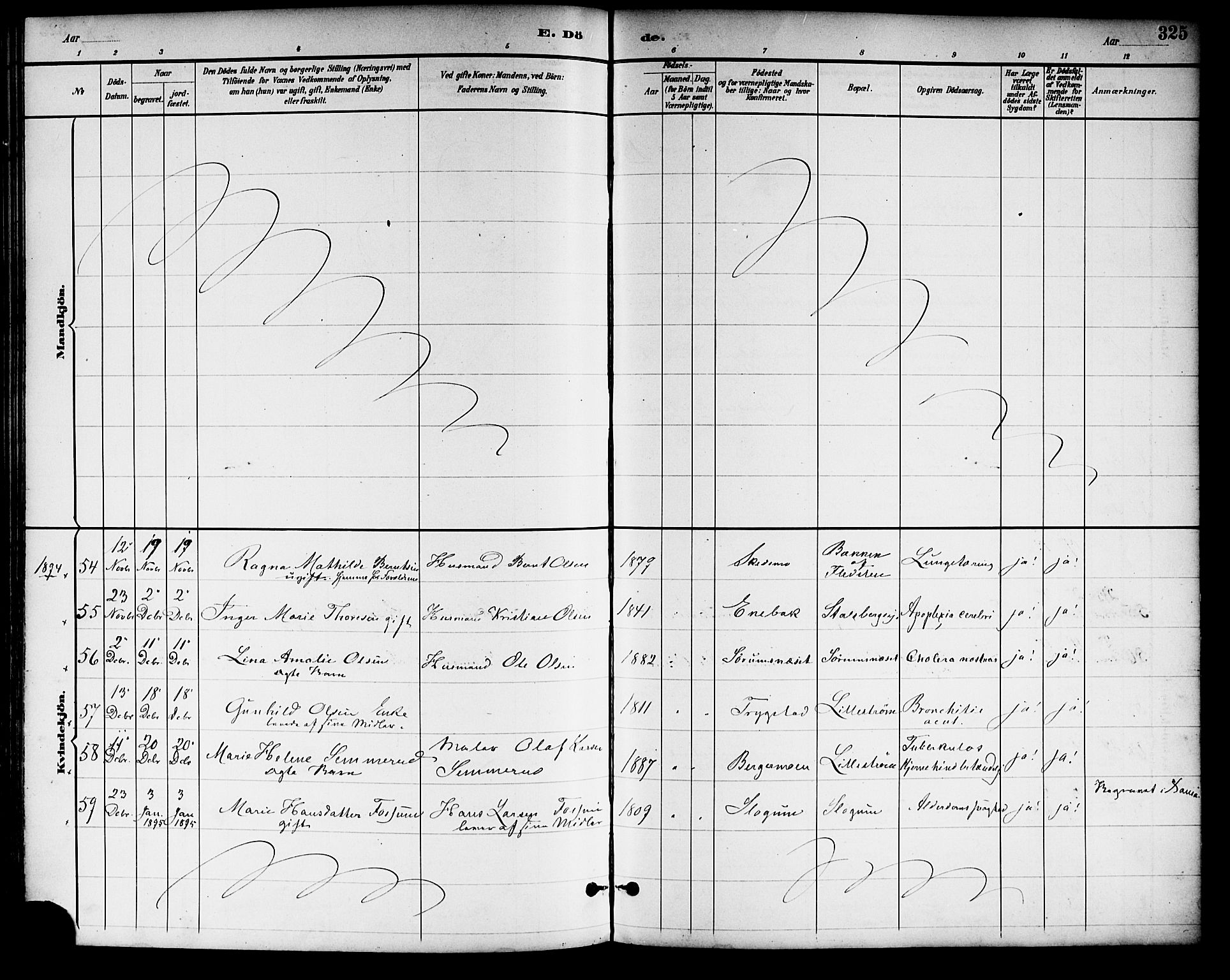 Skedsmo prestekontor Kirkebøker, SAO/A-10033a/F/Fa/L0014: Parish register (official) no. I 14, 1892-1901, p. 325