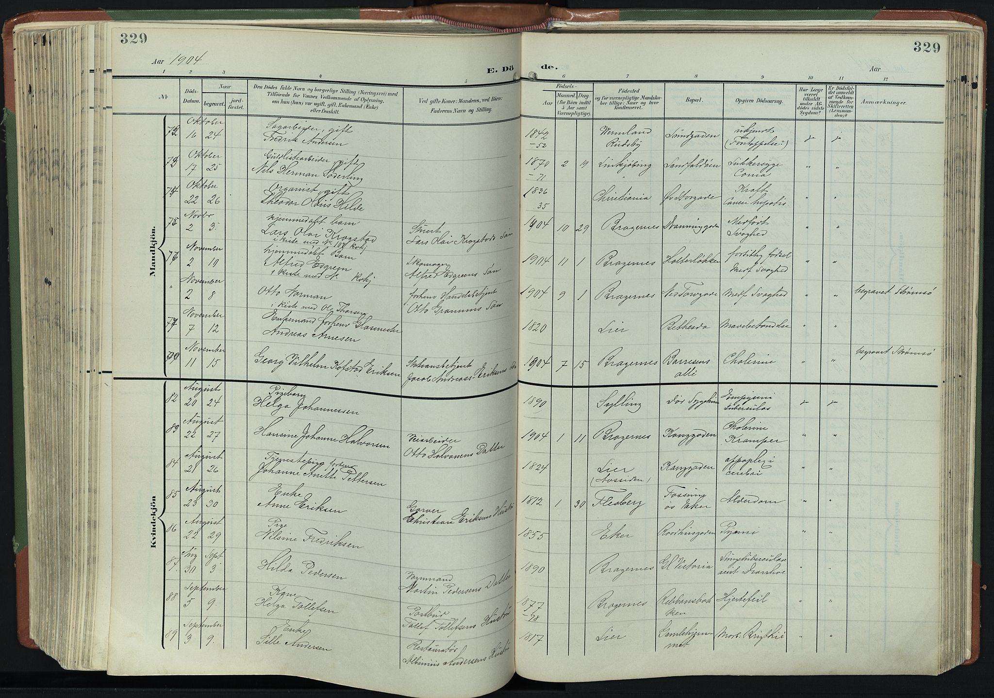 Bragernes kirkebøker, AV/SAKO-A-6/F/Fb/L0009: Parish register (official) no. II 9, 1902-1911, p. 329