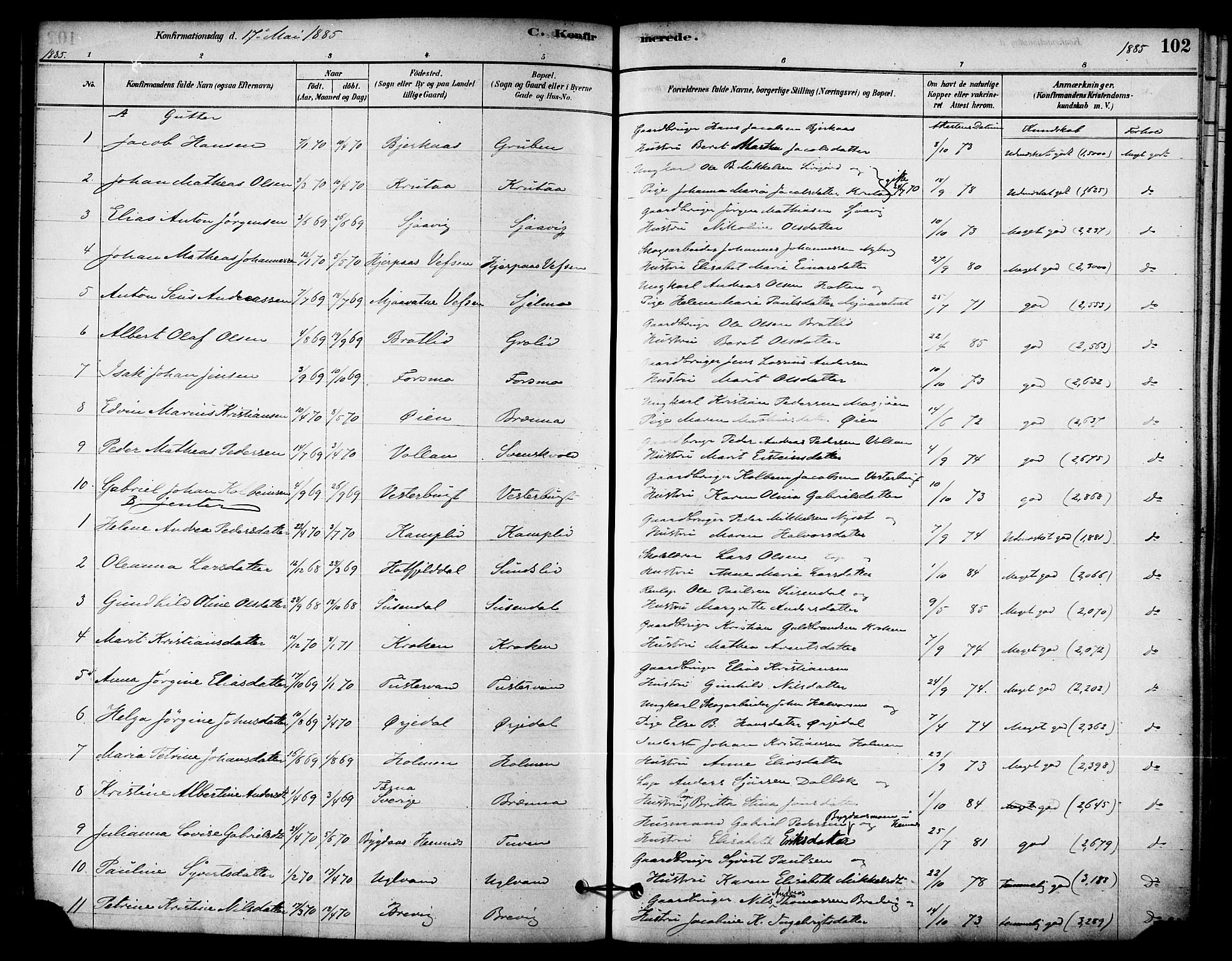 Ministerialprotokoller, klokkerbøker og fødselsregistre - Nordland, AV/SAT-A-1459/823/L0325: Parish register (official) no. 823A02, 1878-1898, p. 102