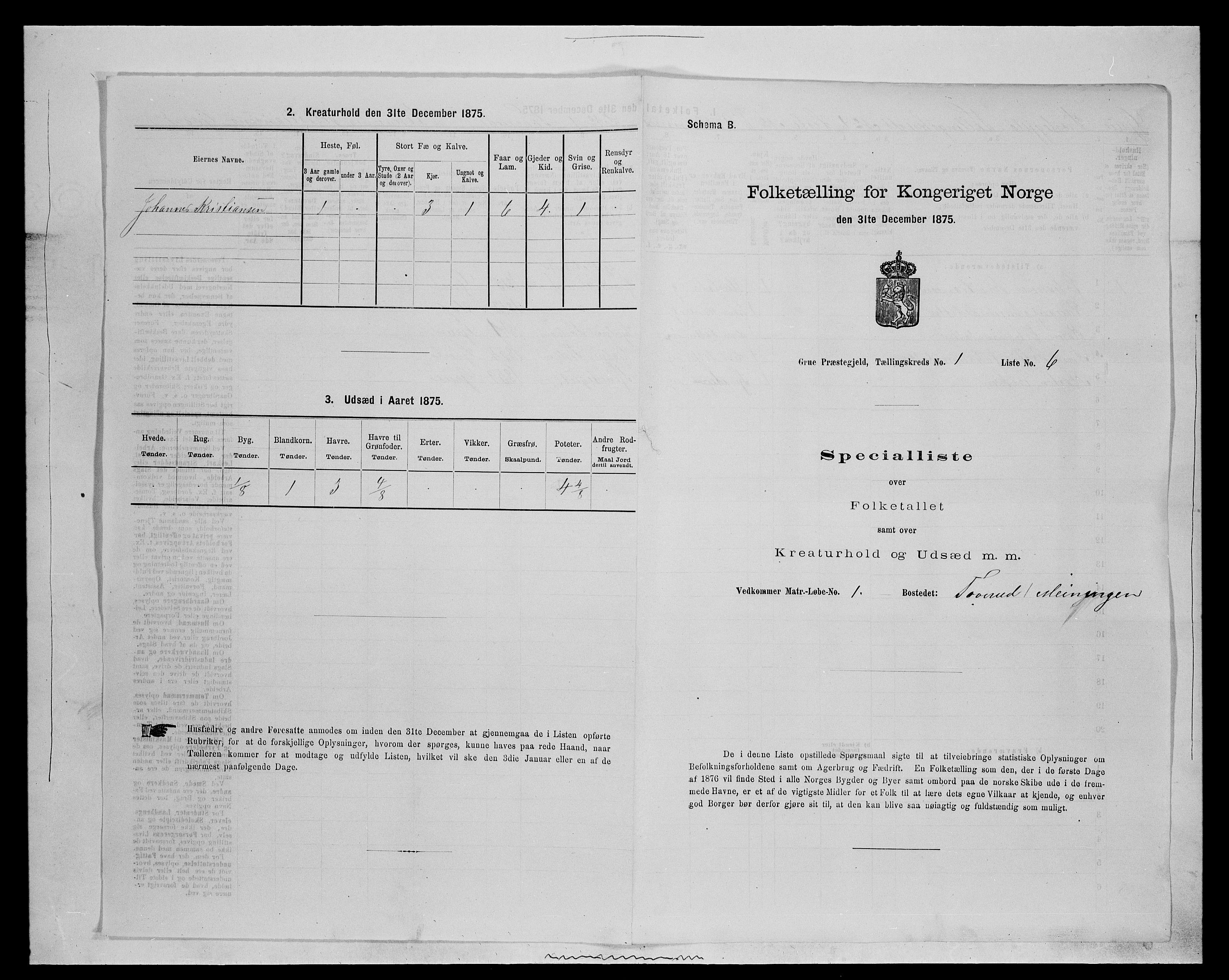 SAH, 1875 census for 0423P Grue, 1875, p. 163