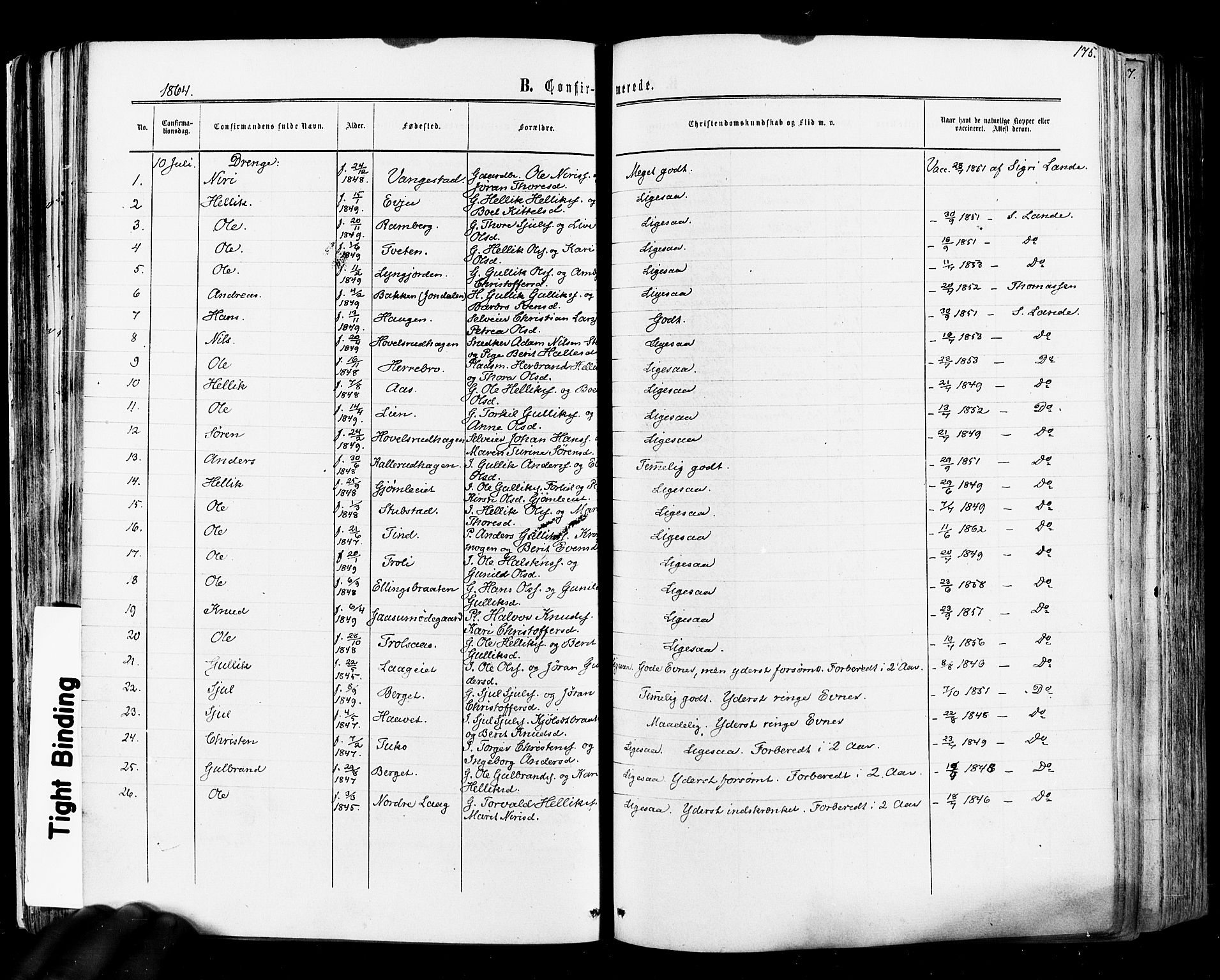 Flesberg kirkebøker, SAKO/A-18/F/Fa/L0007: Parish register (official) no. I 7, 1861-1878, p. 175