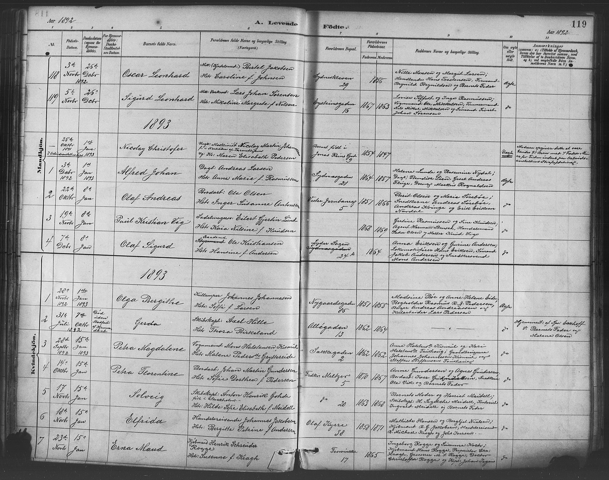 Johanneskirken sokneprestembete, SAB/A-76001/H/Hab: Parish register (copy) no. A 1, 1885-1900, p. 119
