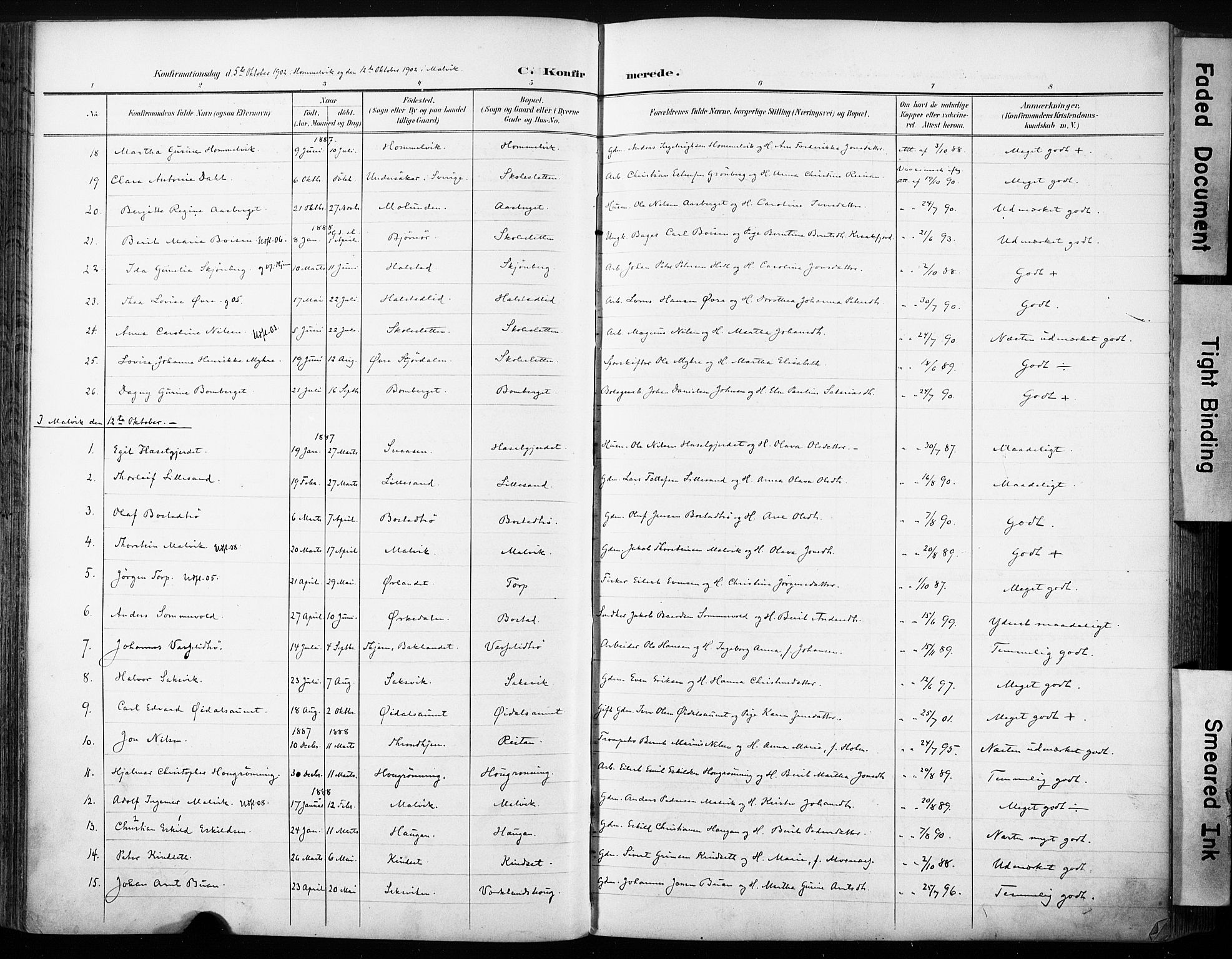 Ministerialprotokoller, klokkerbøker og fødselsregistre - Sør-Trøndelag, AV/SAT-A-1456/616/L0411: Parish register (official) no. 616A08, 1894-1906