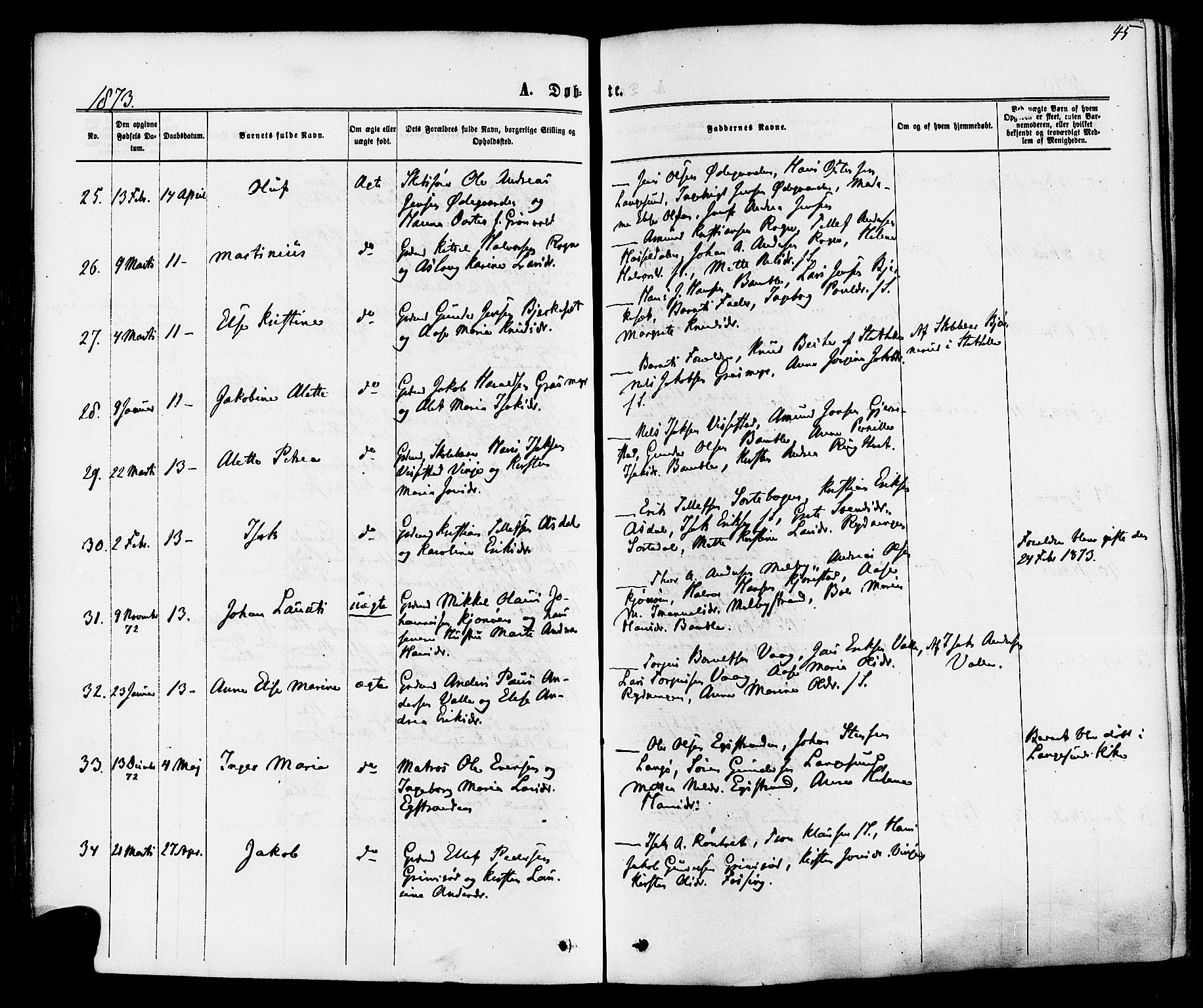 Bamble kirkebøker, AV/SAKO-A-253/F/Fa/L0006: Parish register (official) no. I 6, 1869-1877, p. 45