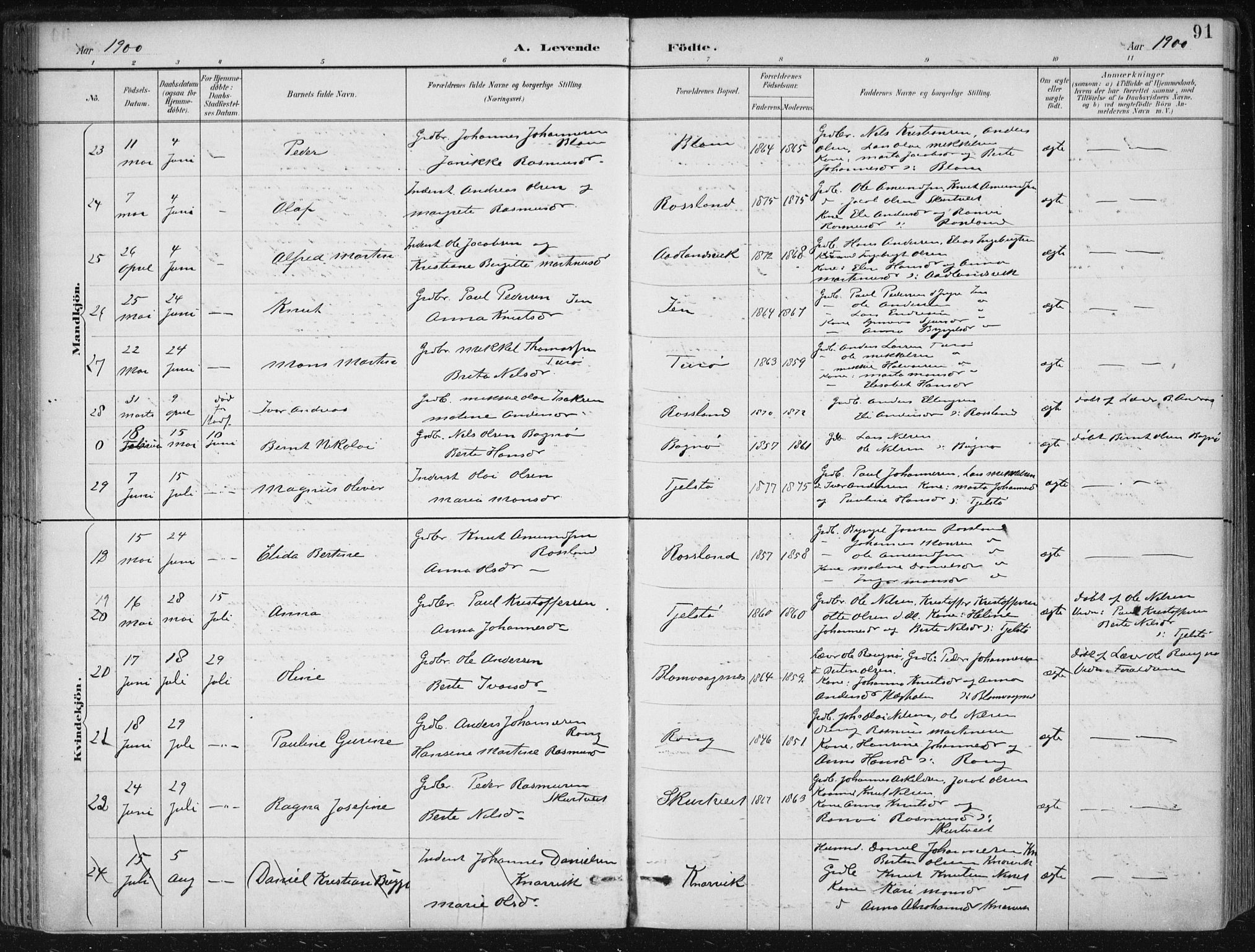 Herdla Sokneprestembete, AV/SAB-A-75701/H/Haa: Parish register (official) no. A 4, 1891-1905, p. 91