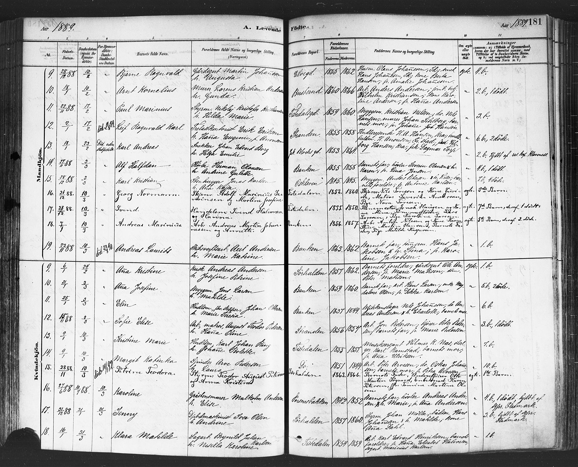 Halden prestekontor Kirkebøker, AV/SAO-A-10909/F/Fa/L0011: Parish register (official) no. I 11, 1878-1889, p. 181