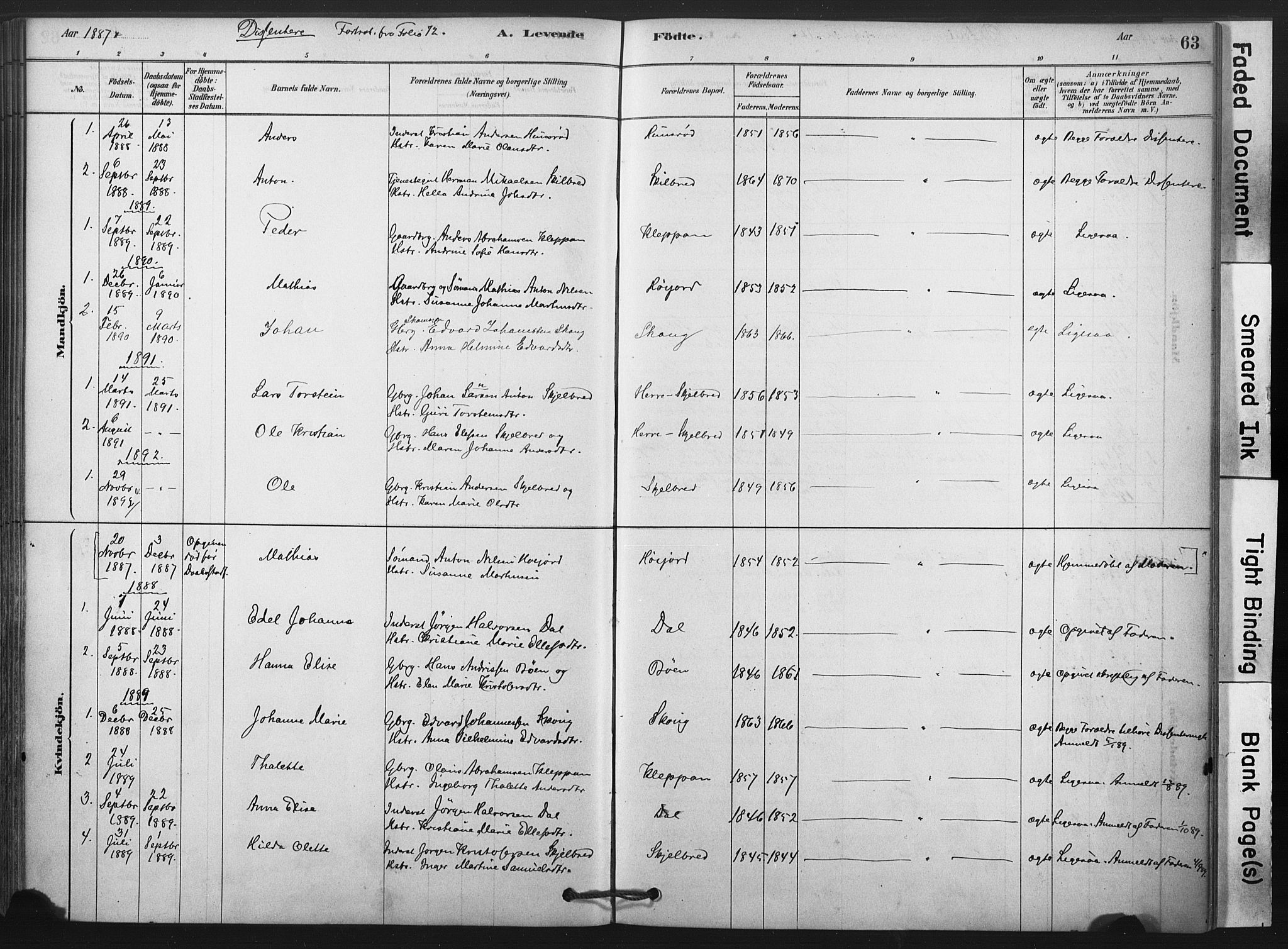 Andebu kirkebøker, AV/SAKO-A-336/F/Fa/L0009: Parish register (official) no. 9, 1878-1909, p. 63